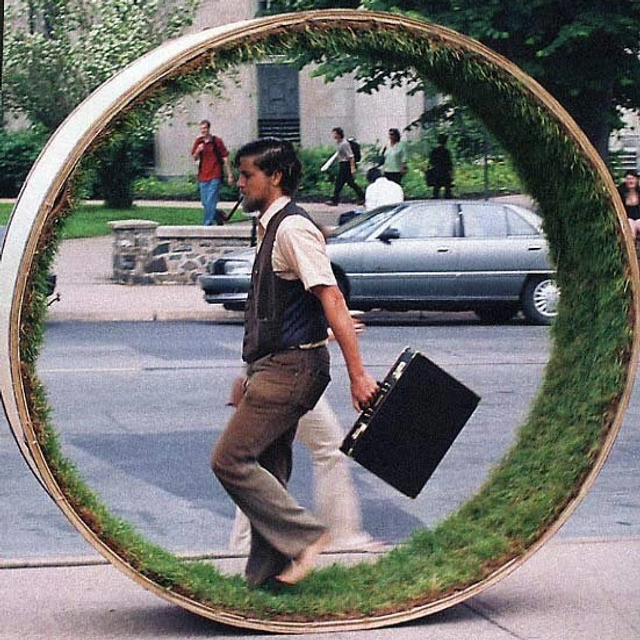 The Grass Wheel (2006)