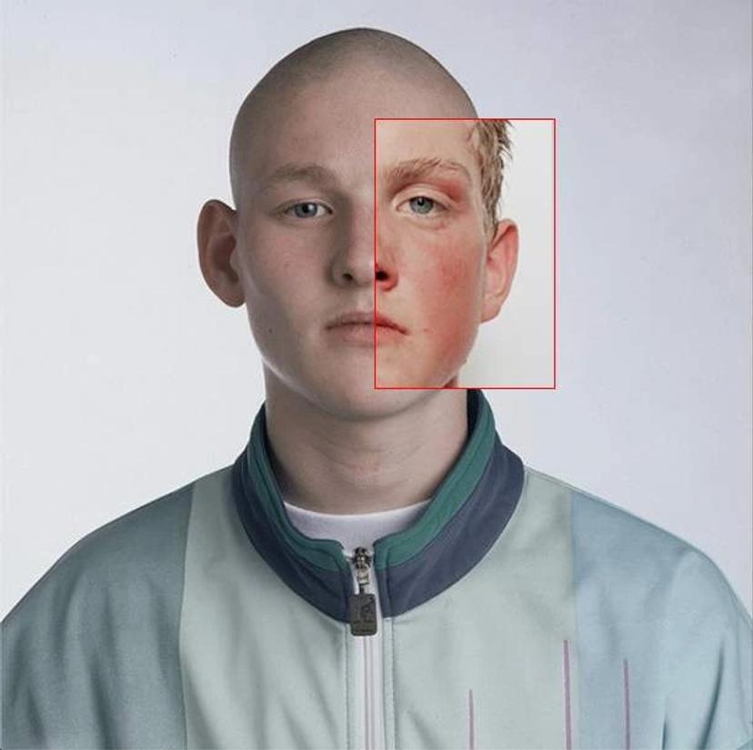 Mass Surveillance Aesthetics
