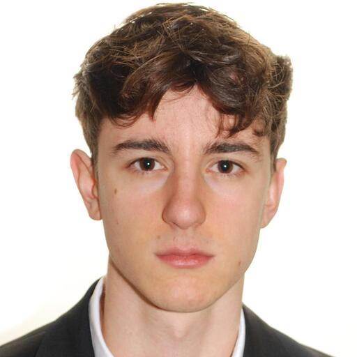 Matteo Bozzoli
