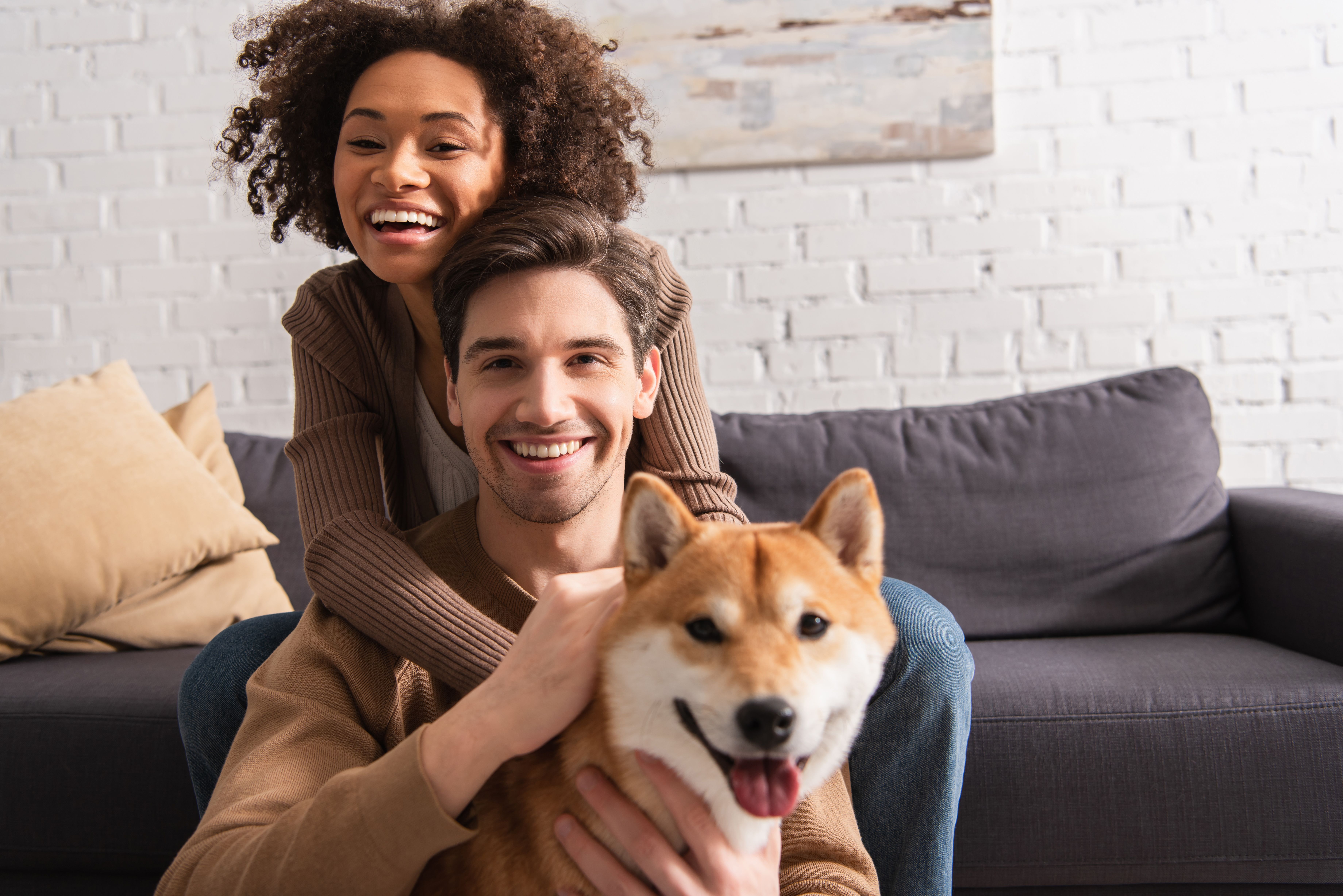 dog food detour leads to 900 000 prize