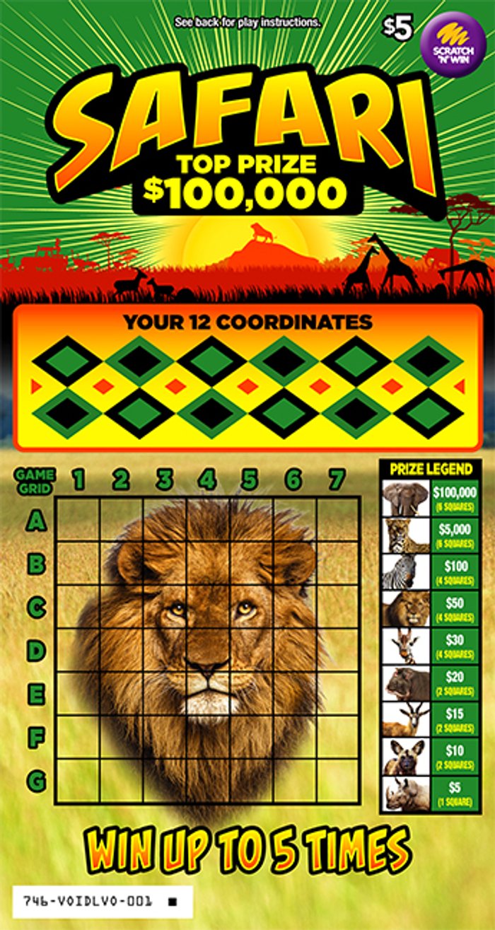 Safari front ticket preview