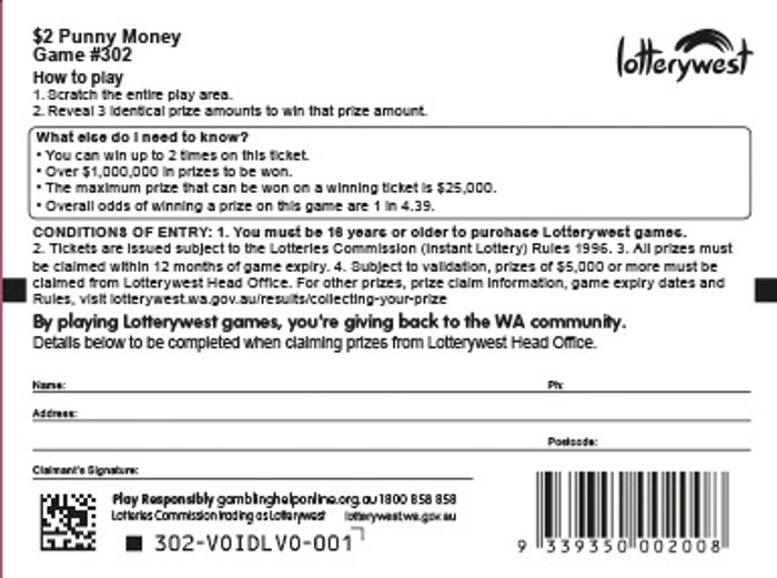 Punny Money back ticket preview