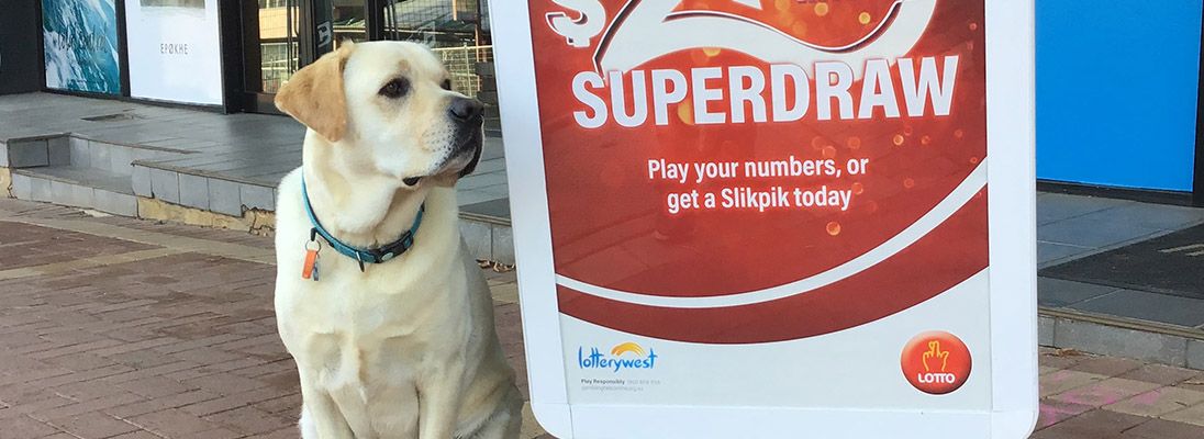 Max with SD sign blog insert