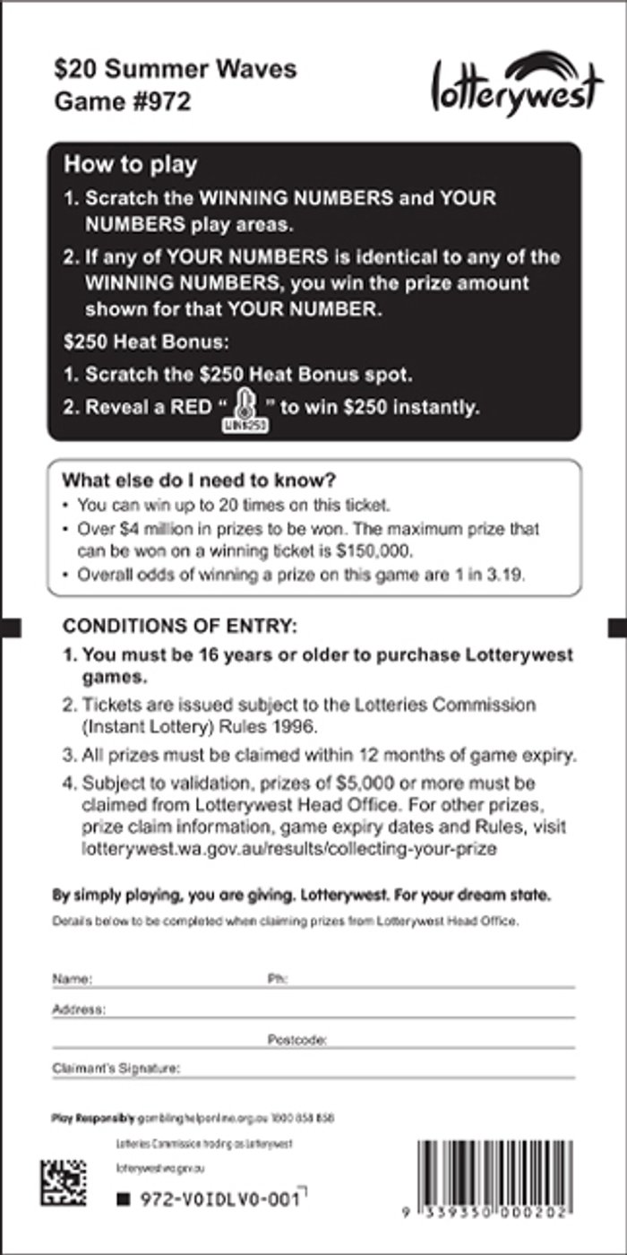 Summer Waves back ticket preview