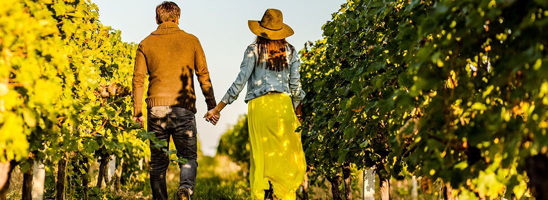 2023 Swan Valley 1096x400