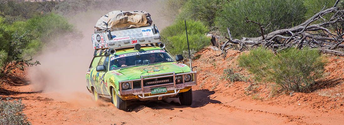 Ninja turtle blog insert