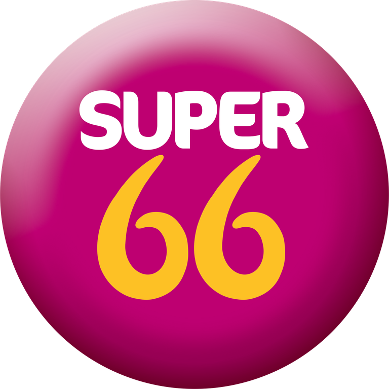 Super66 logo