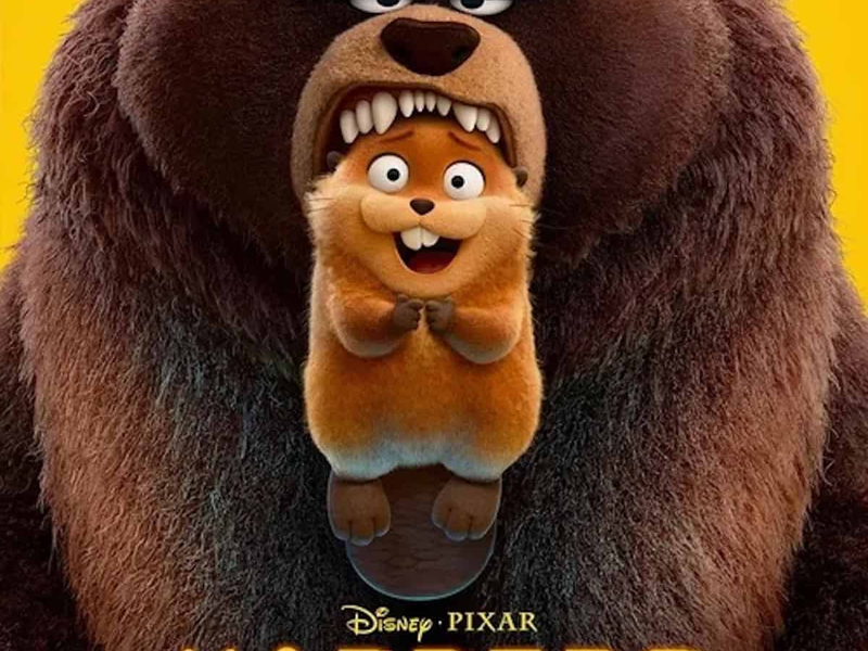 Hoppers Group Screening