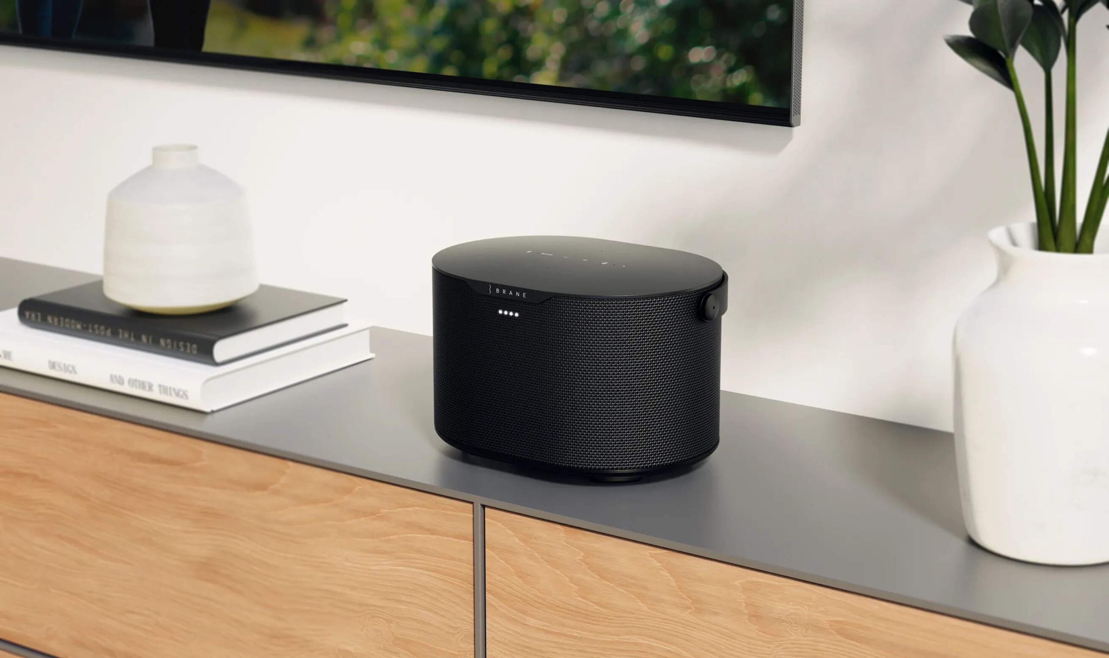 Brane X speaker