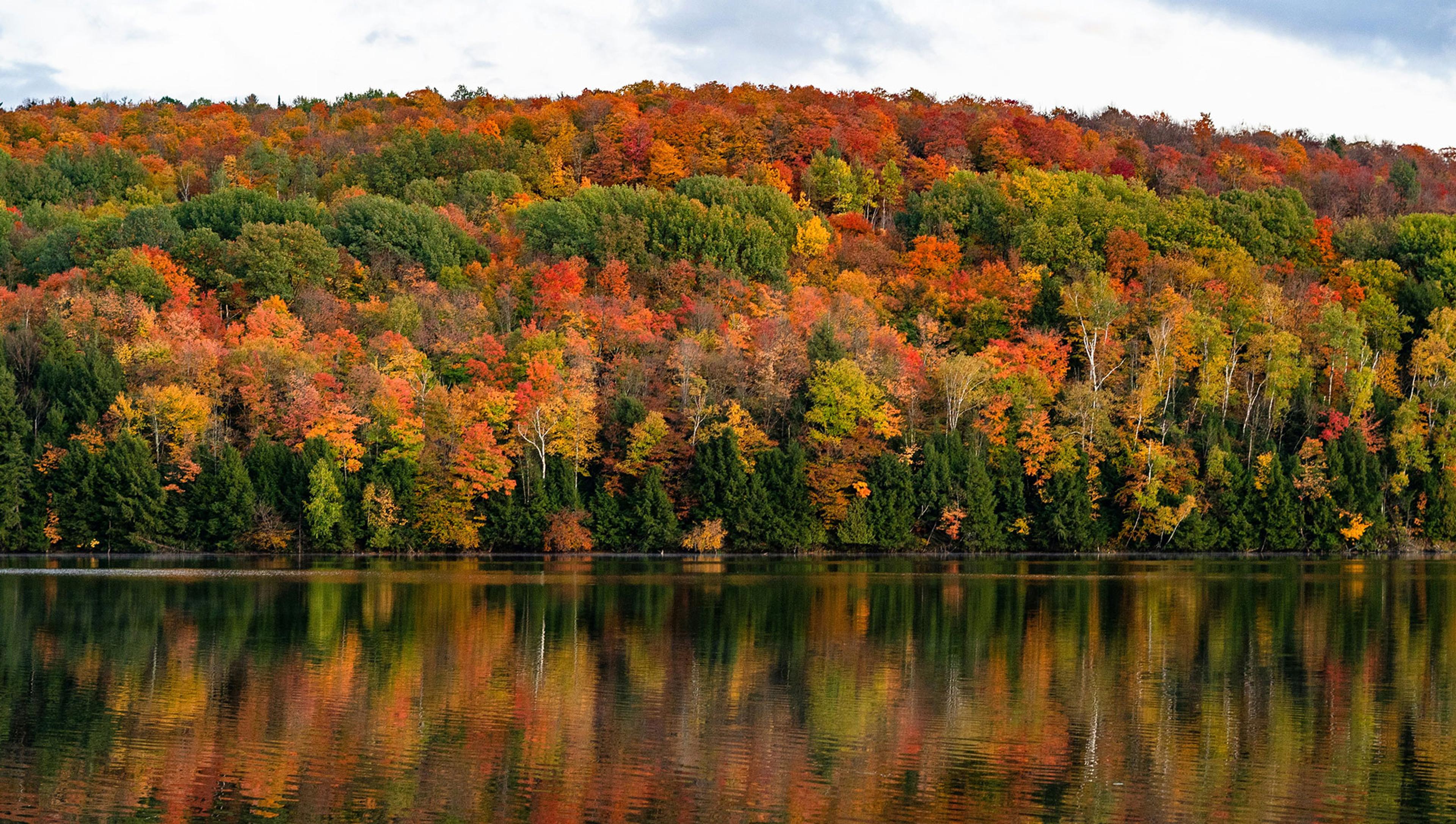 Vermont Autumn