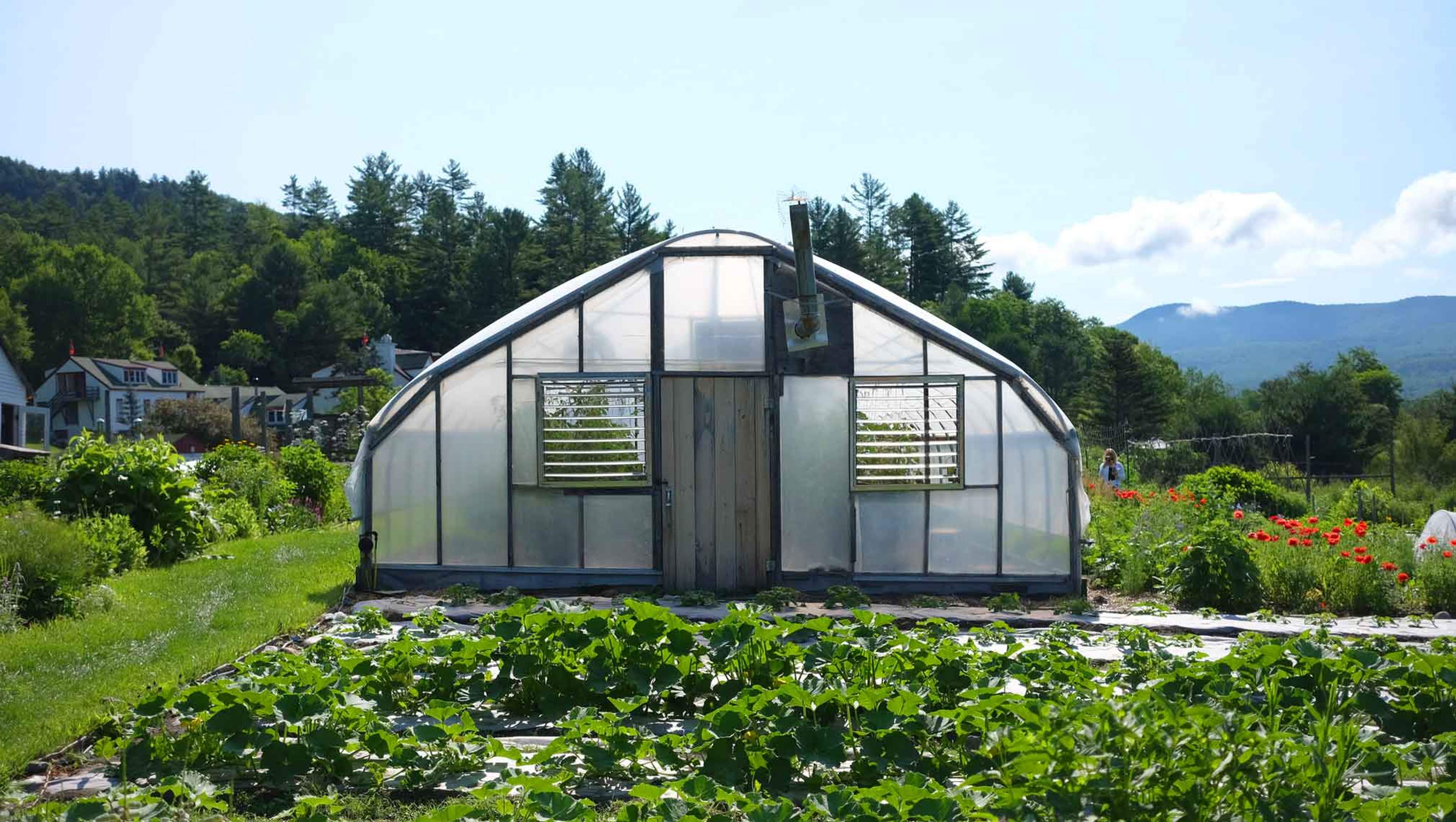 The greenhouse in Karme Choling's Organic Garden