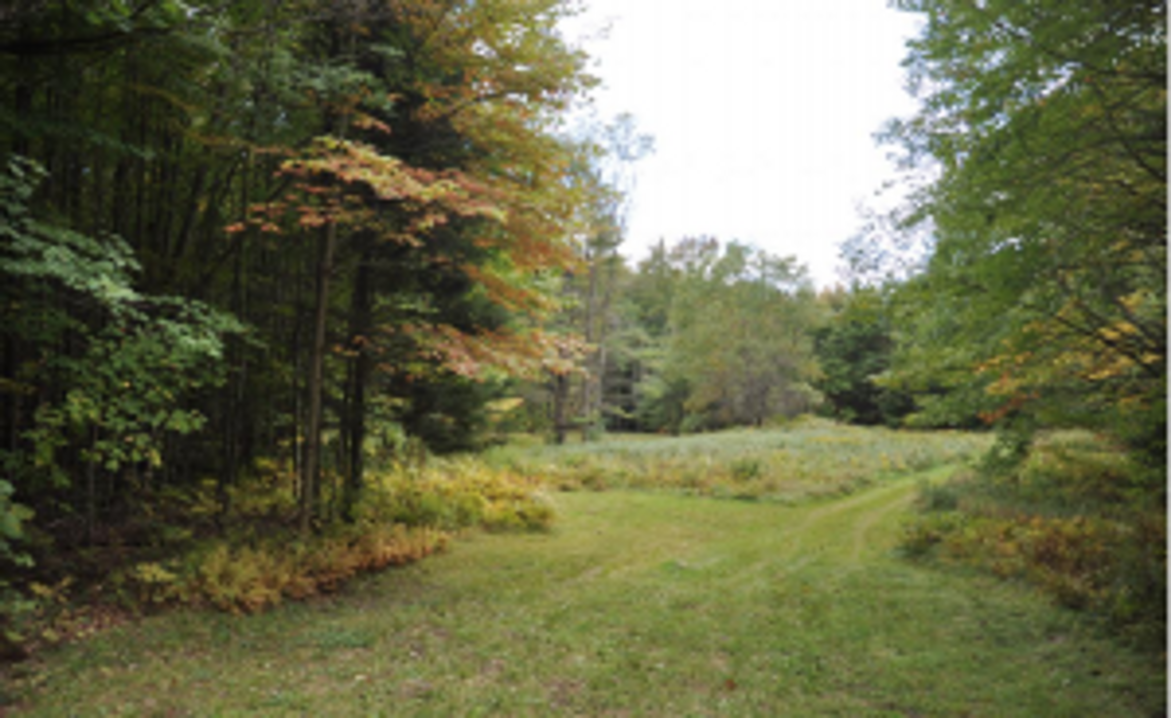 view from the porch of Nagarjuna Retreat Cabin at Karme Choling Meditation Retreat Center.