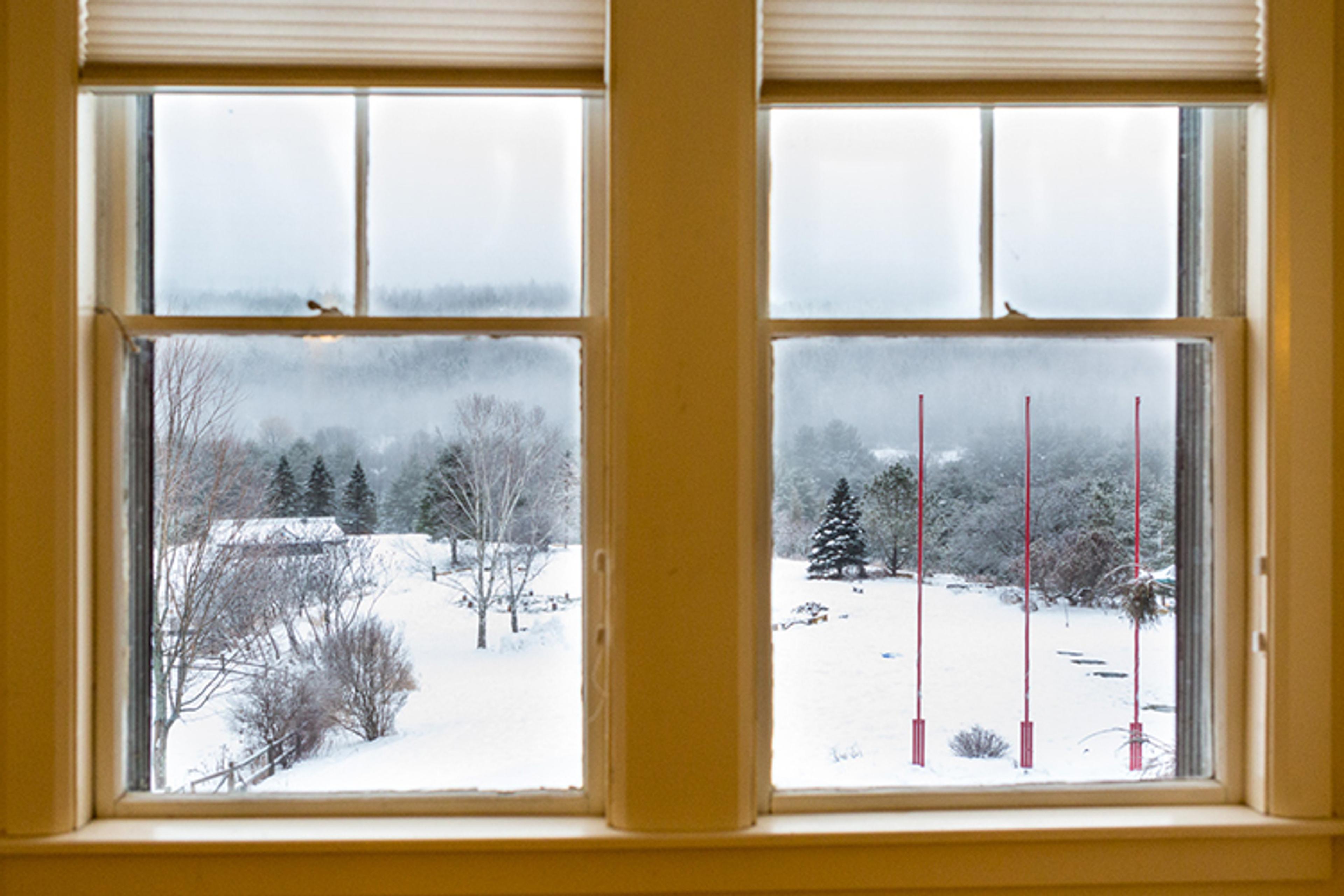 Winter Front Lawn Through Window