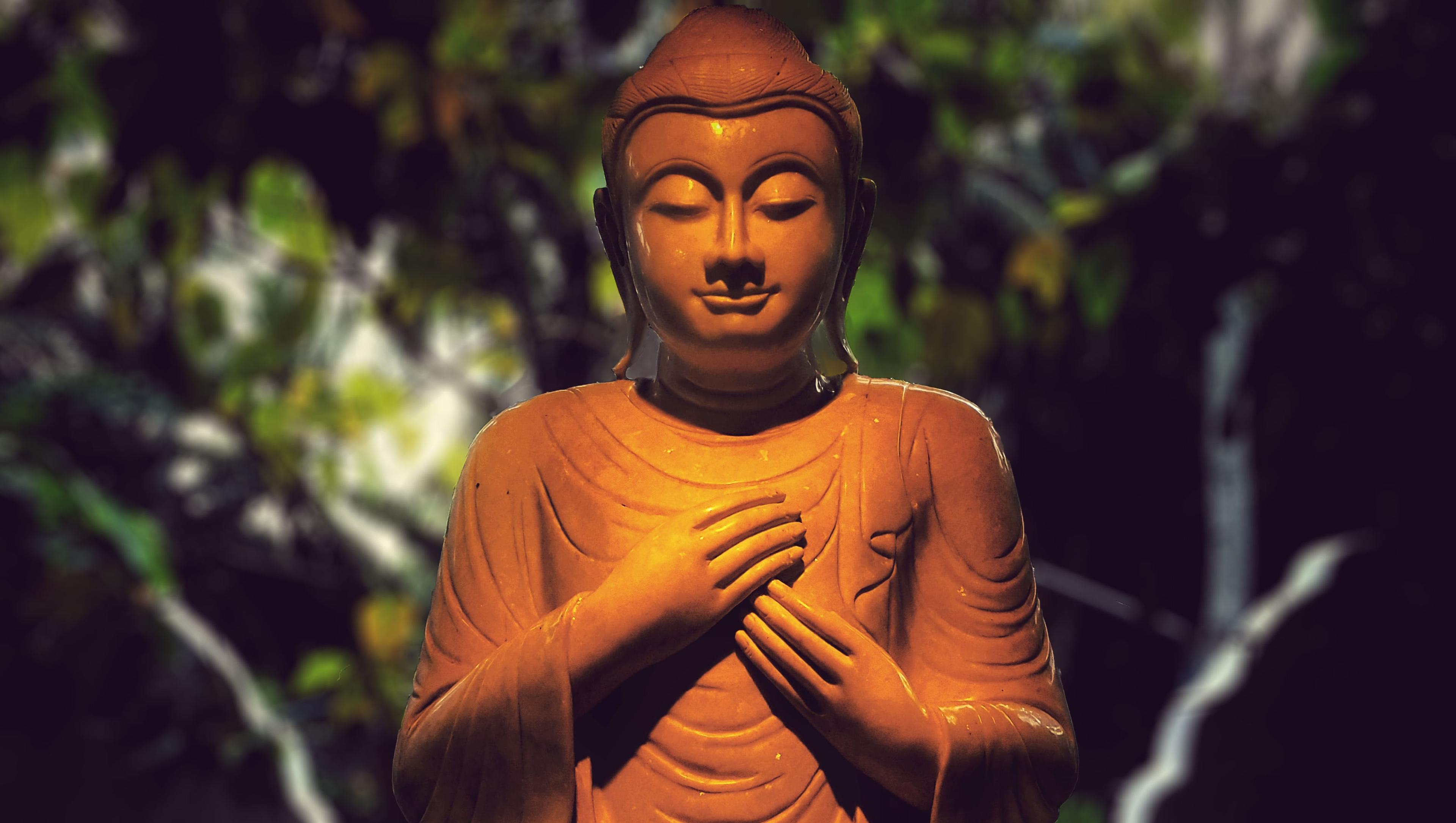 Tonglen Practice Karme Choling Meditation Retreat Center Vermont