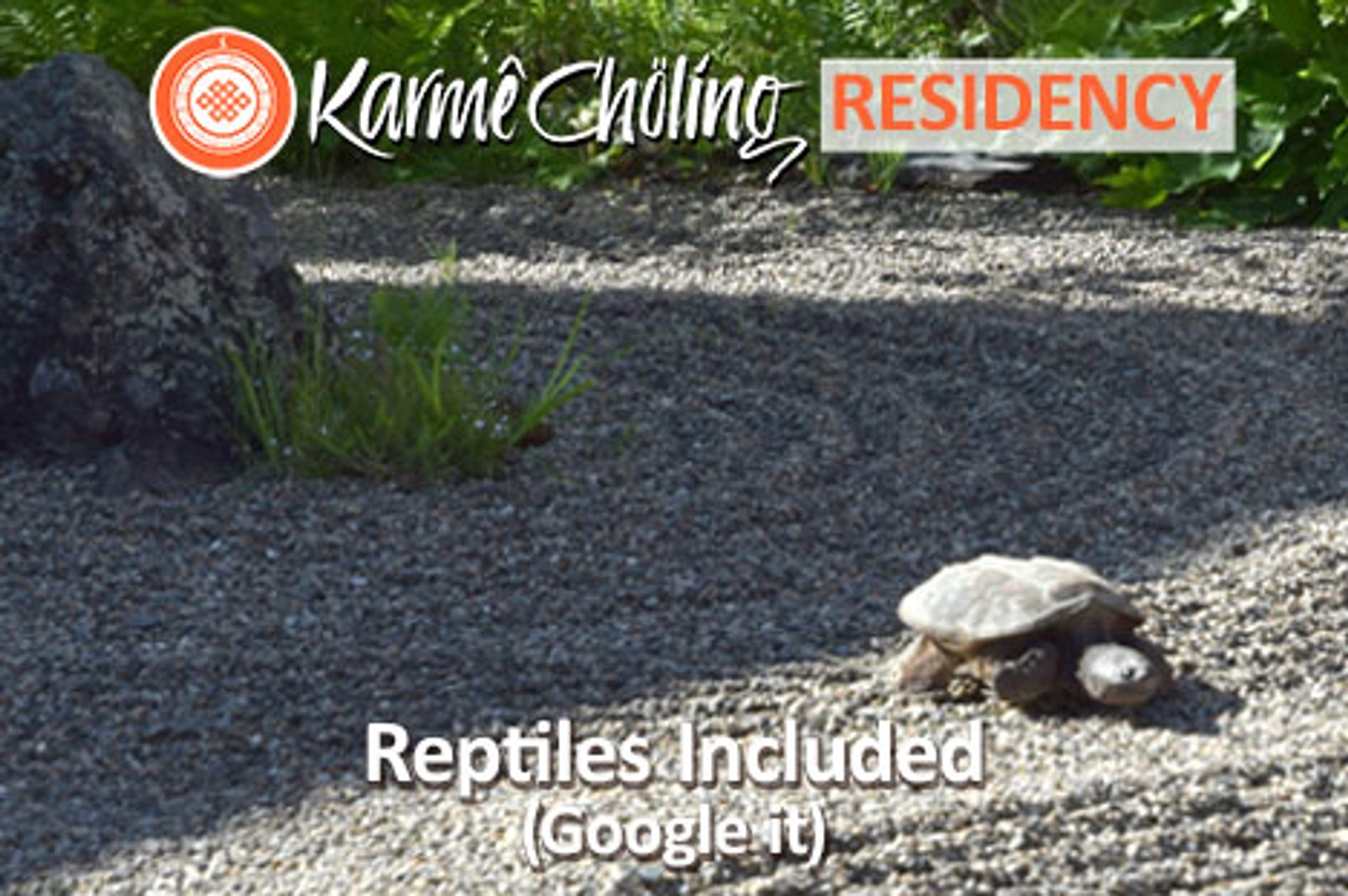 Reptiles included