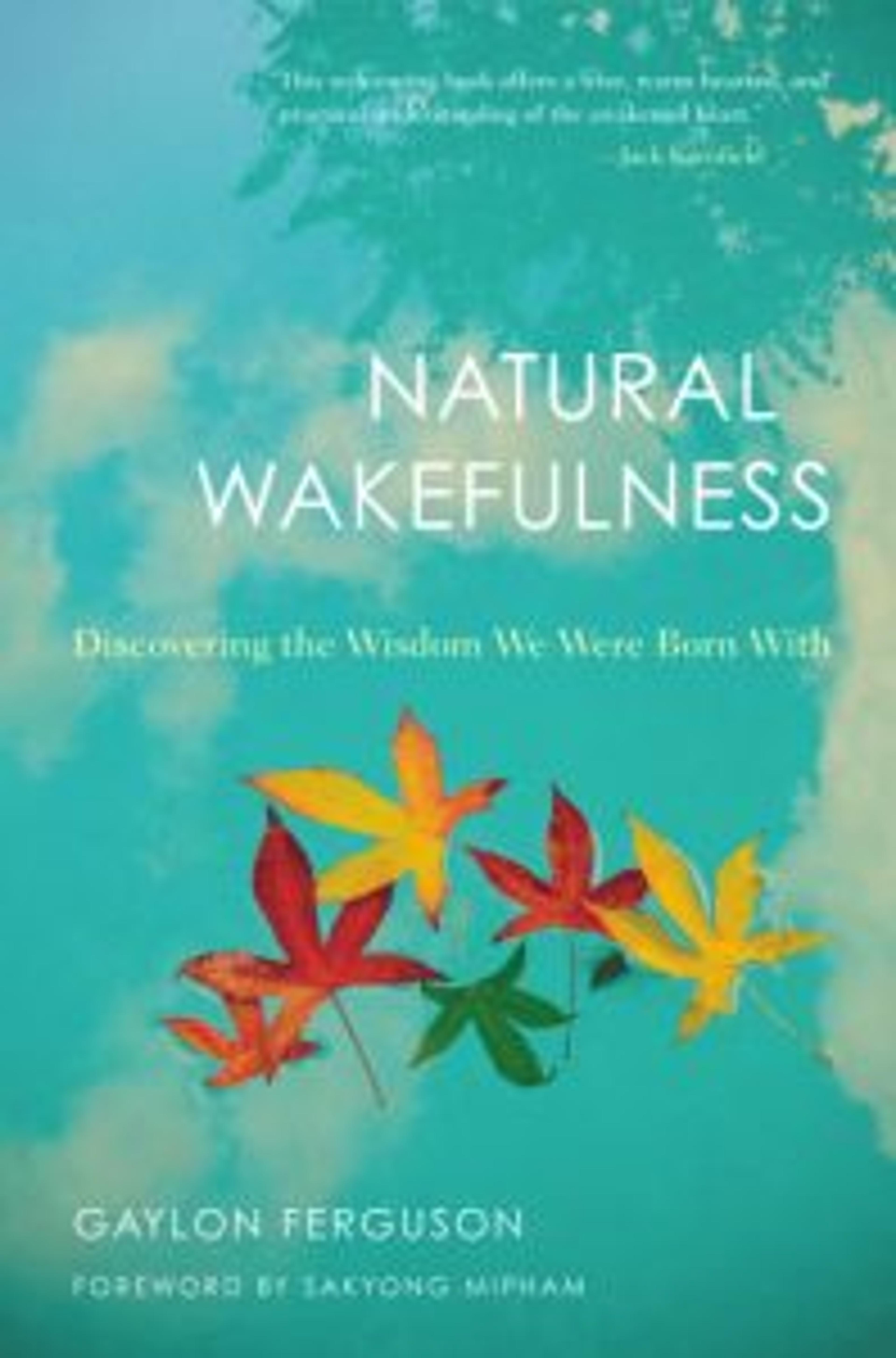 Natural Wakefulness, by Gaylon Ferguson