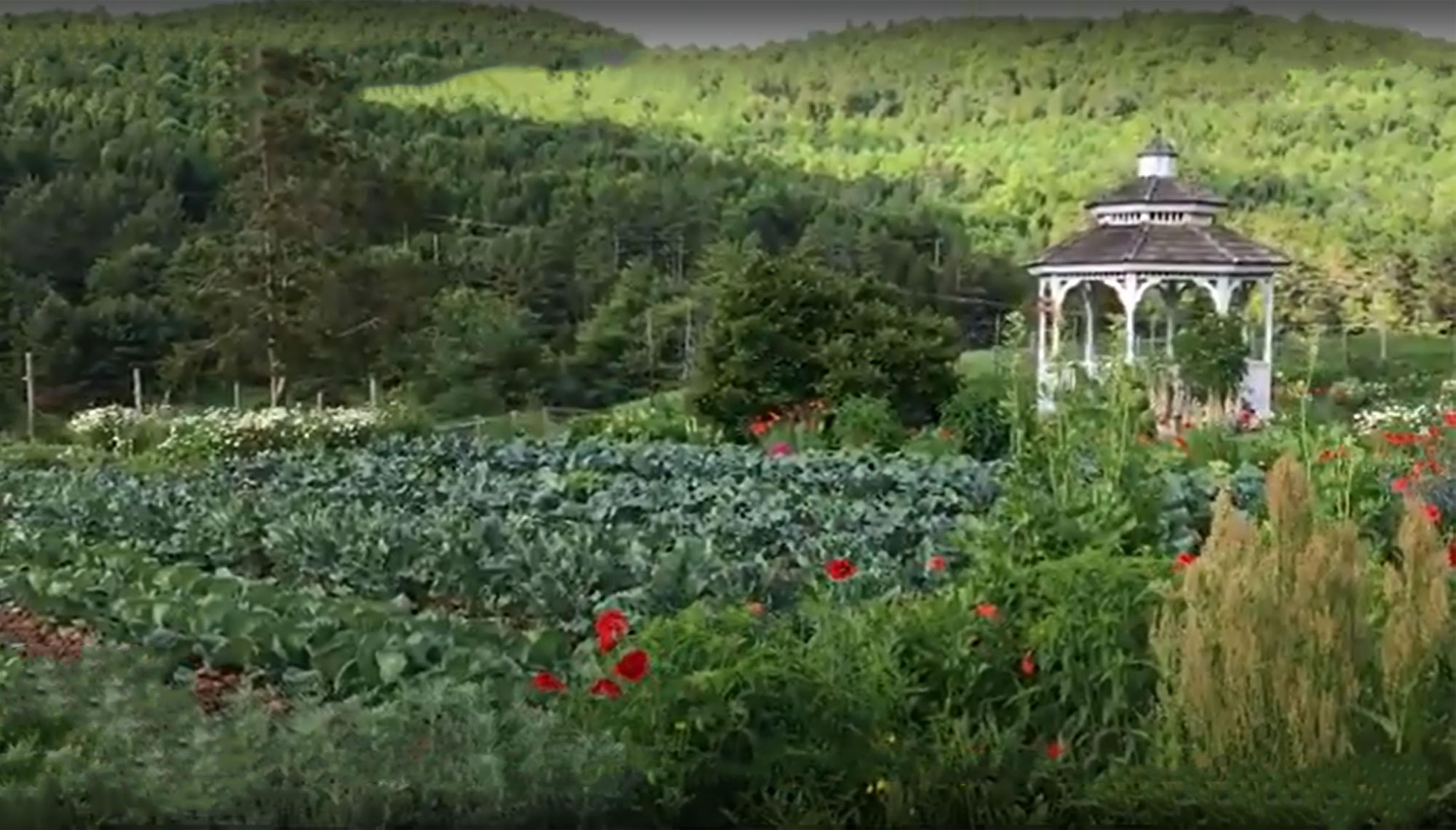 Regenerative Gardening