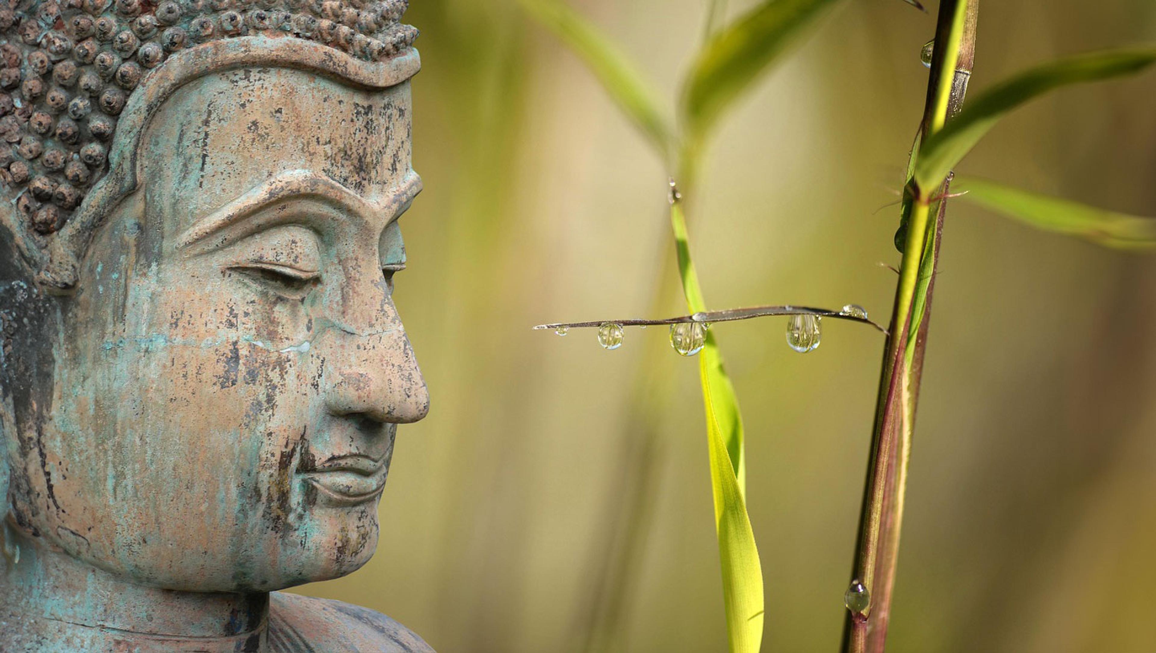Buddha