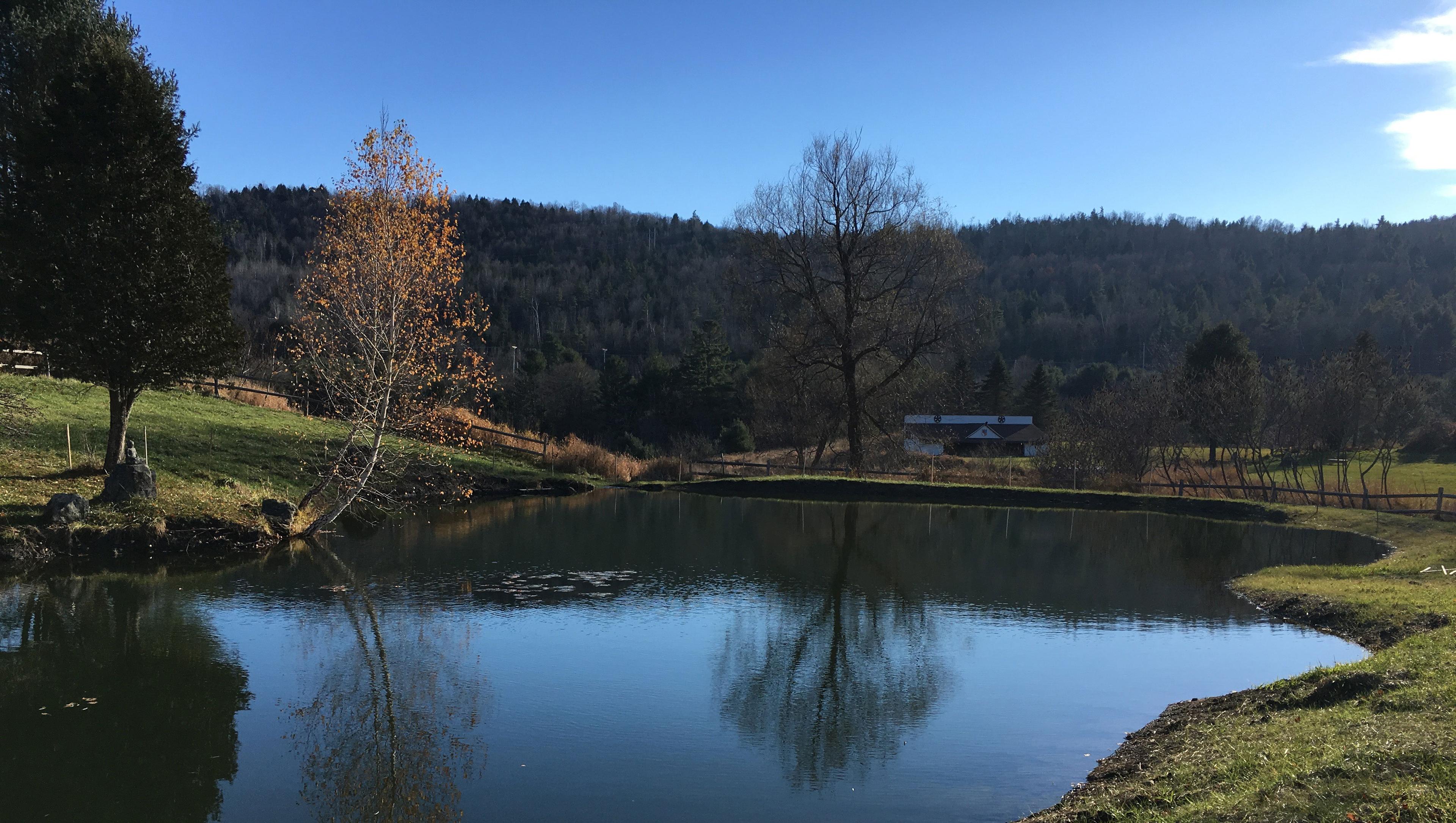 Koi Pond at Karme Choling Meditation Retreat Center, Vermont