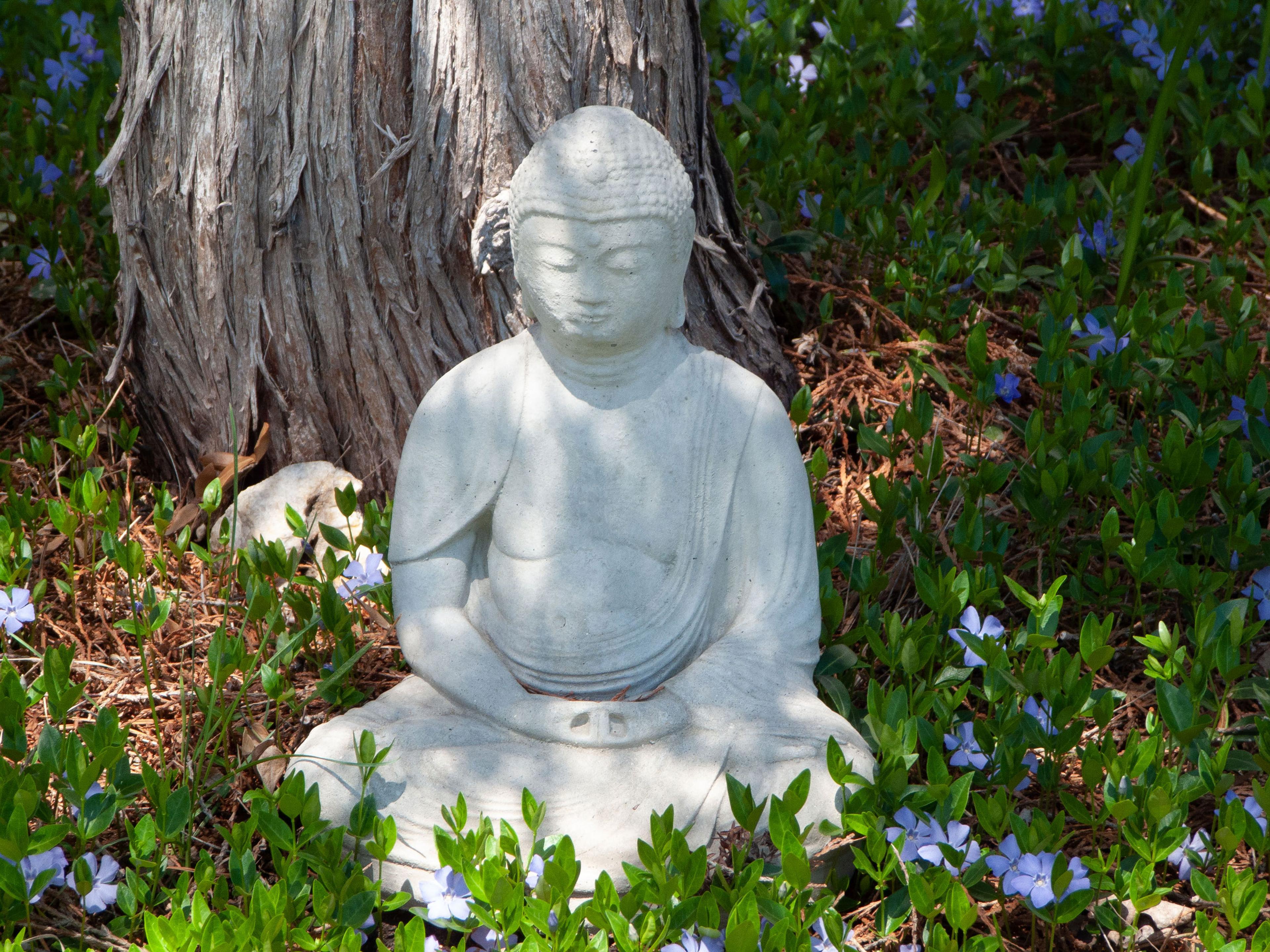 FAQs for residency at Karme Choling meditation retreat center, Vermont