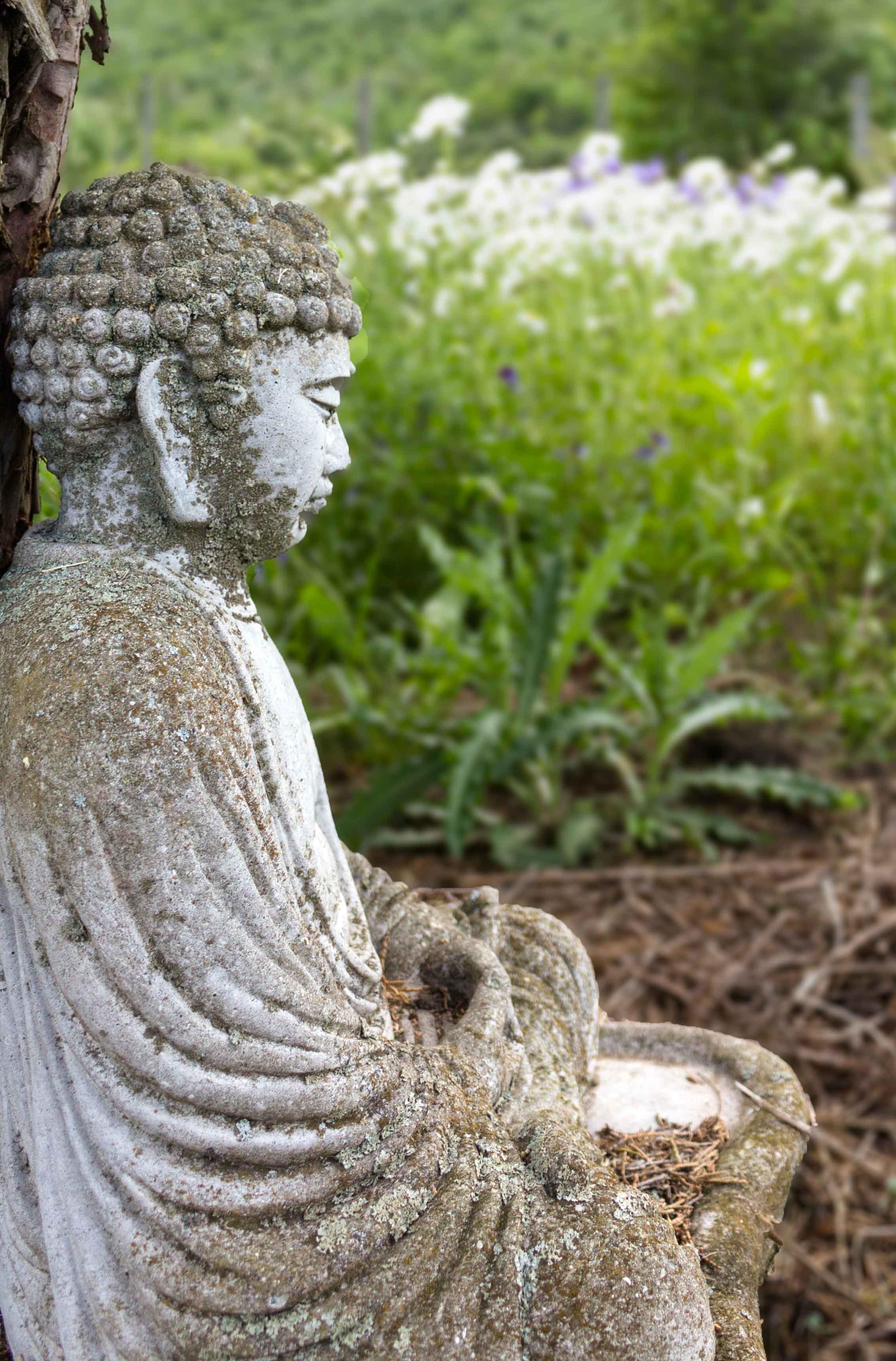 Karme Choling is a meditation retreat center in Vermont