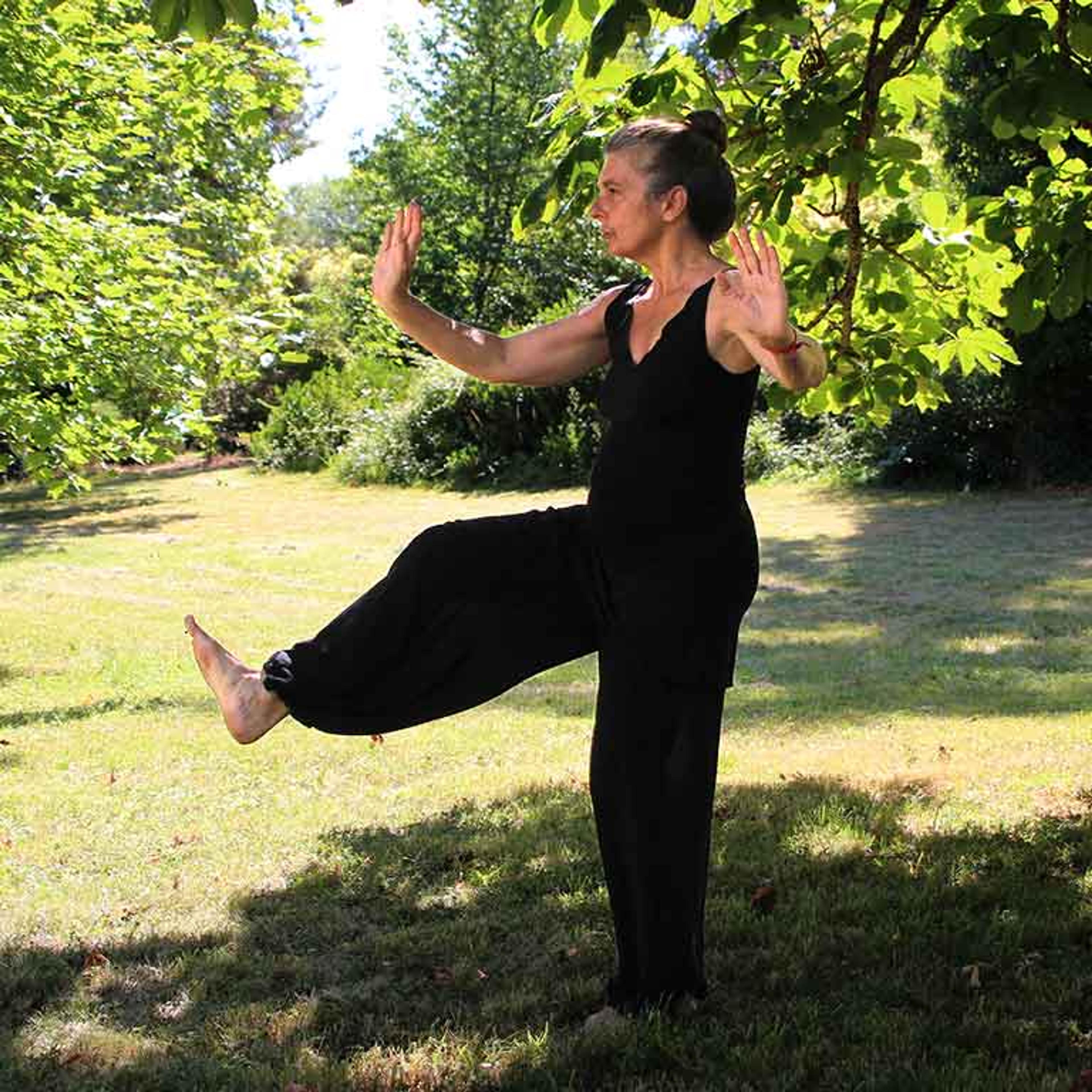 Mind/body retreats at Karme Choling meditation retreat center, Vermont