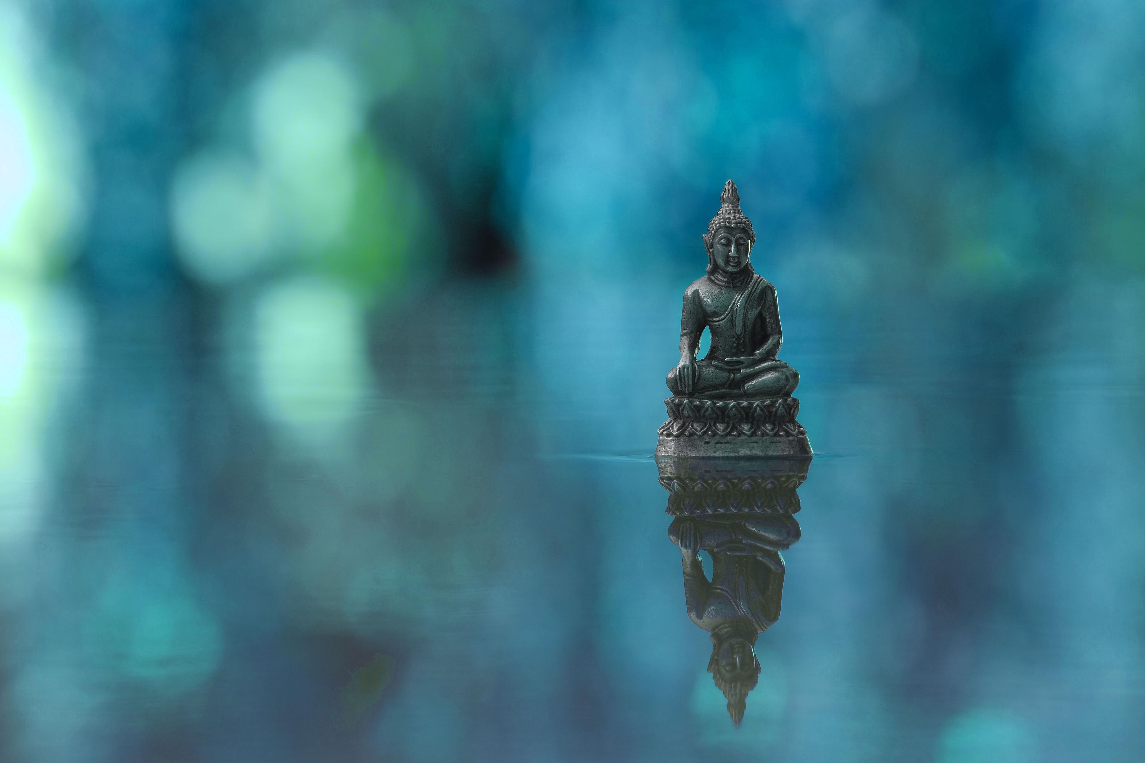 Buddha statue with reflection