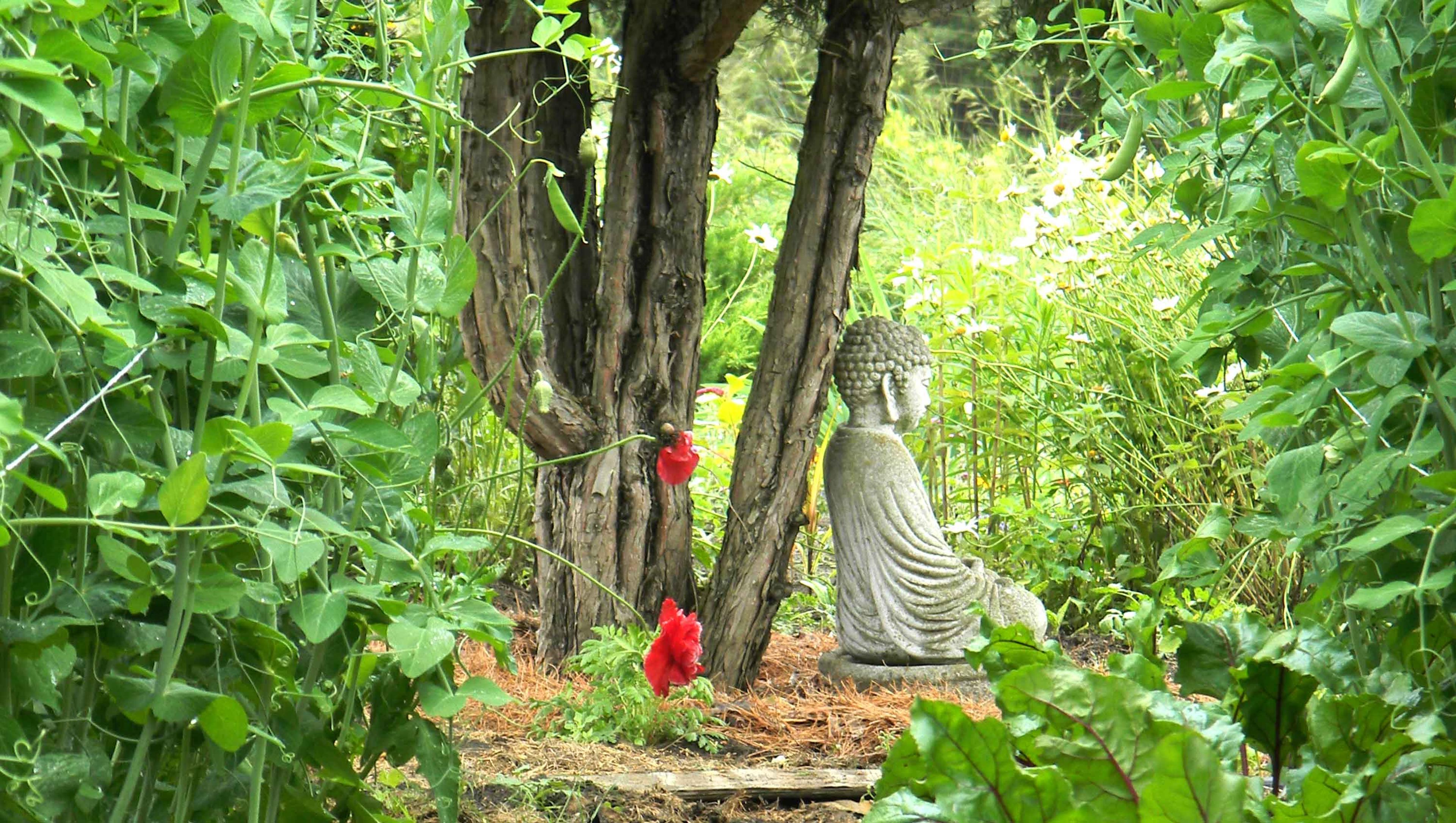 Book a company work retreat at Karmê Chöling meditation retreat center, Vermont