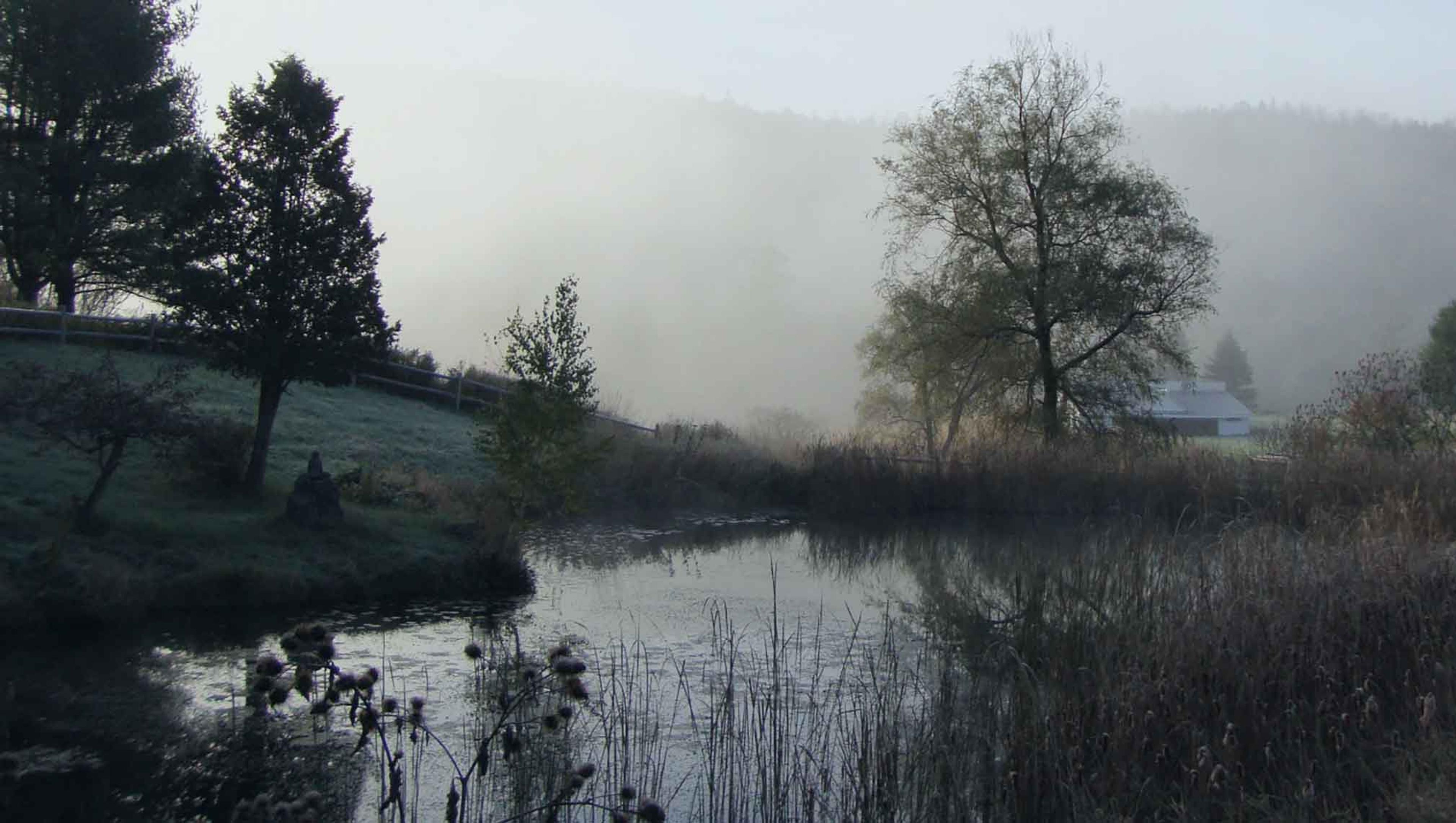 Karme Choling Meditation Centers Misty Pond