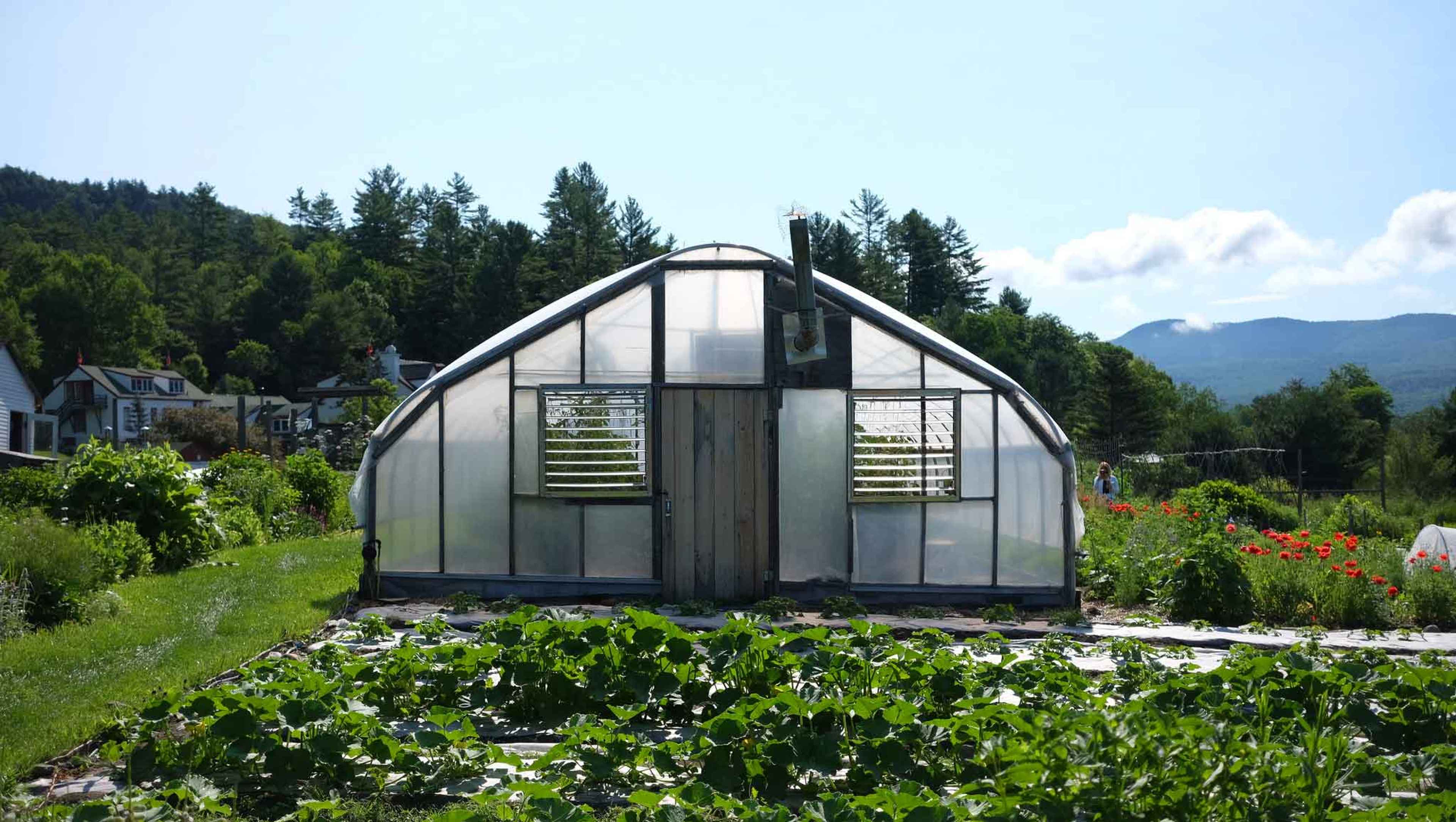 Organic garden at Karmê Chöling, meditation retreat center