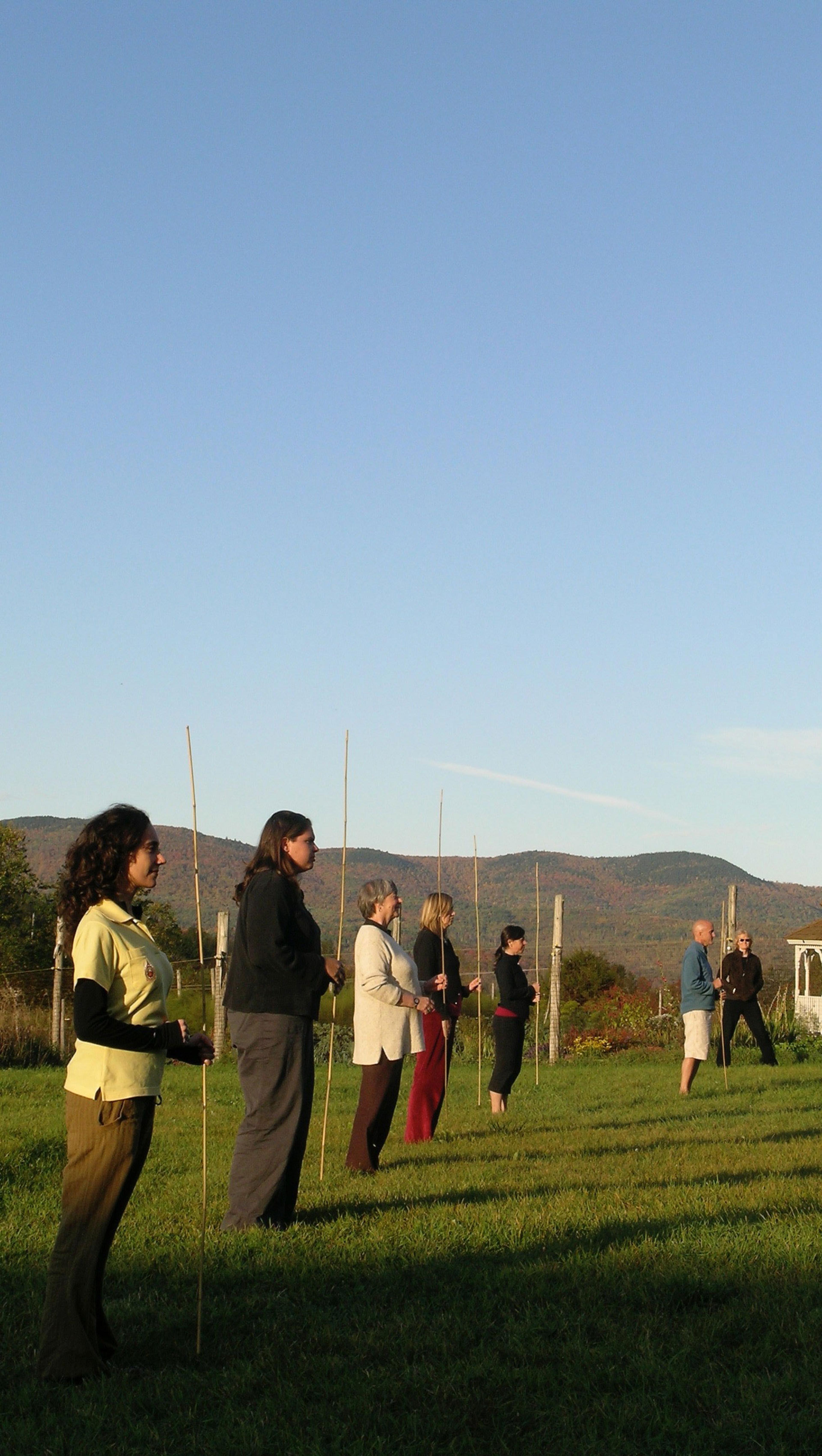 Mudra Awareness Pole Exercise Lt