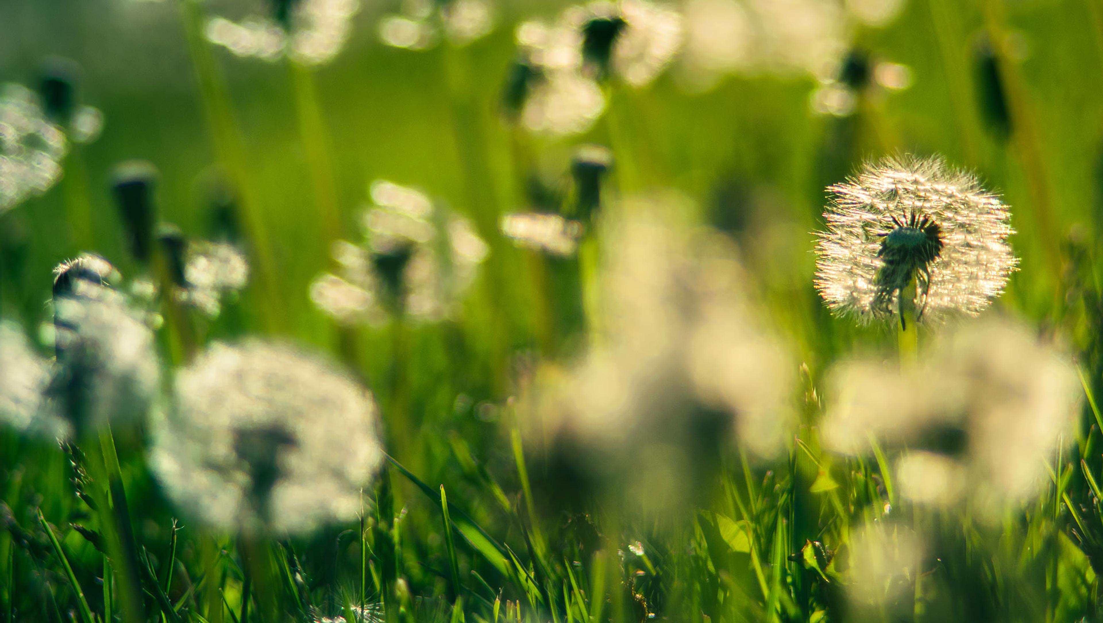 Seasons of Energy - Tai Chi Chuan 