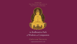 Online: The Bodhisattva Path of Wisdom & Compassion