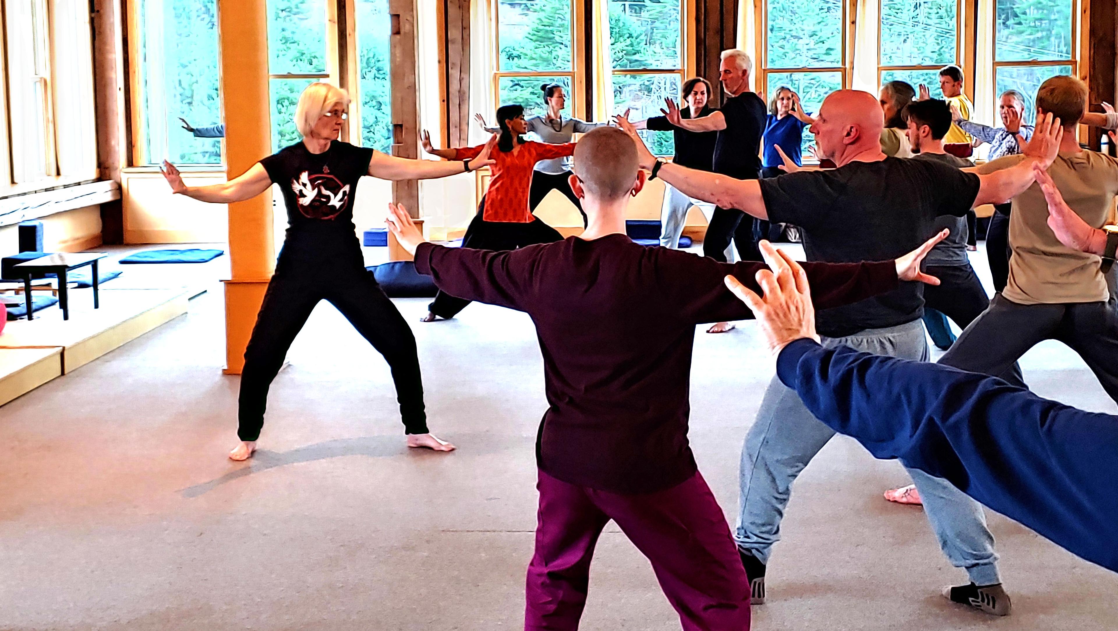 Qigong Practice Karme Choling Meditation Retreat Center Vermont