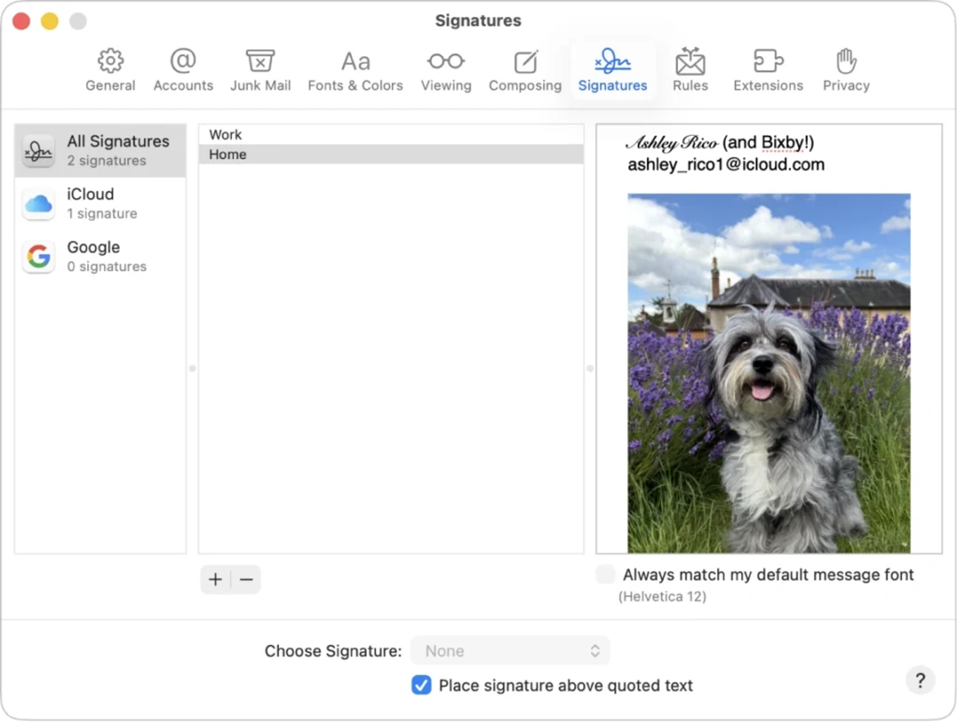 Apple Mail email signature