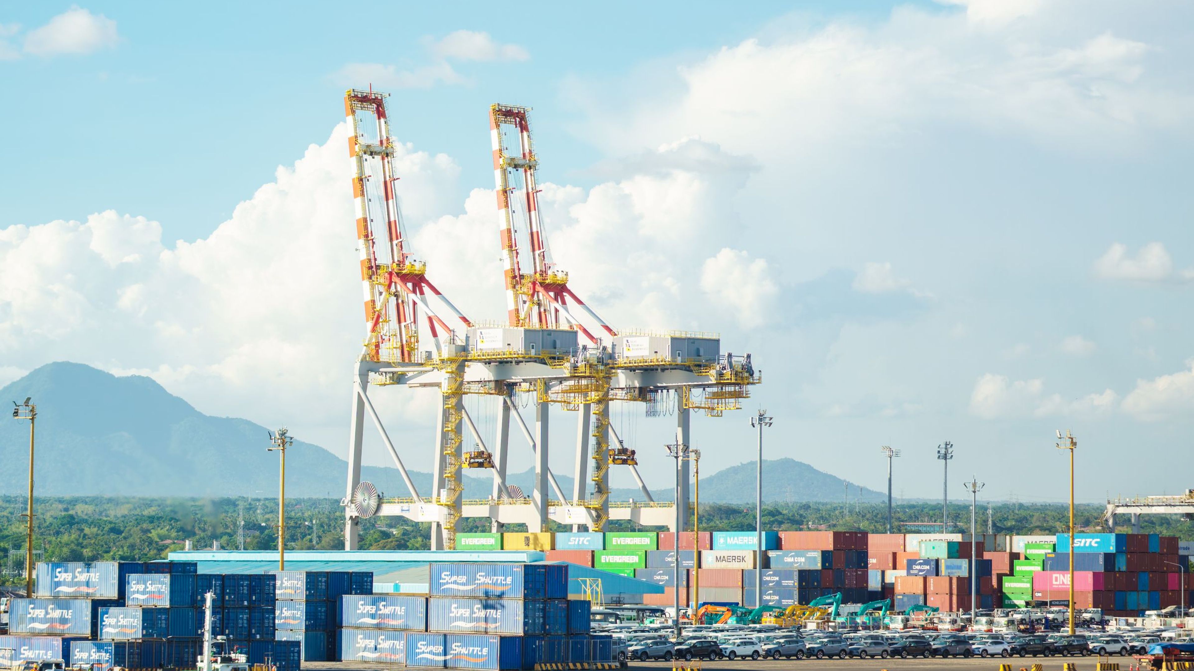 Grues portuaires et conteneurs empilés dans un terminal maritime