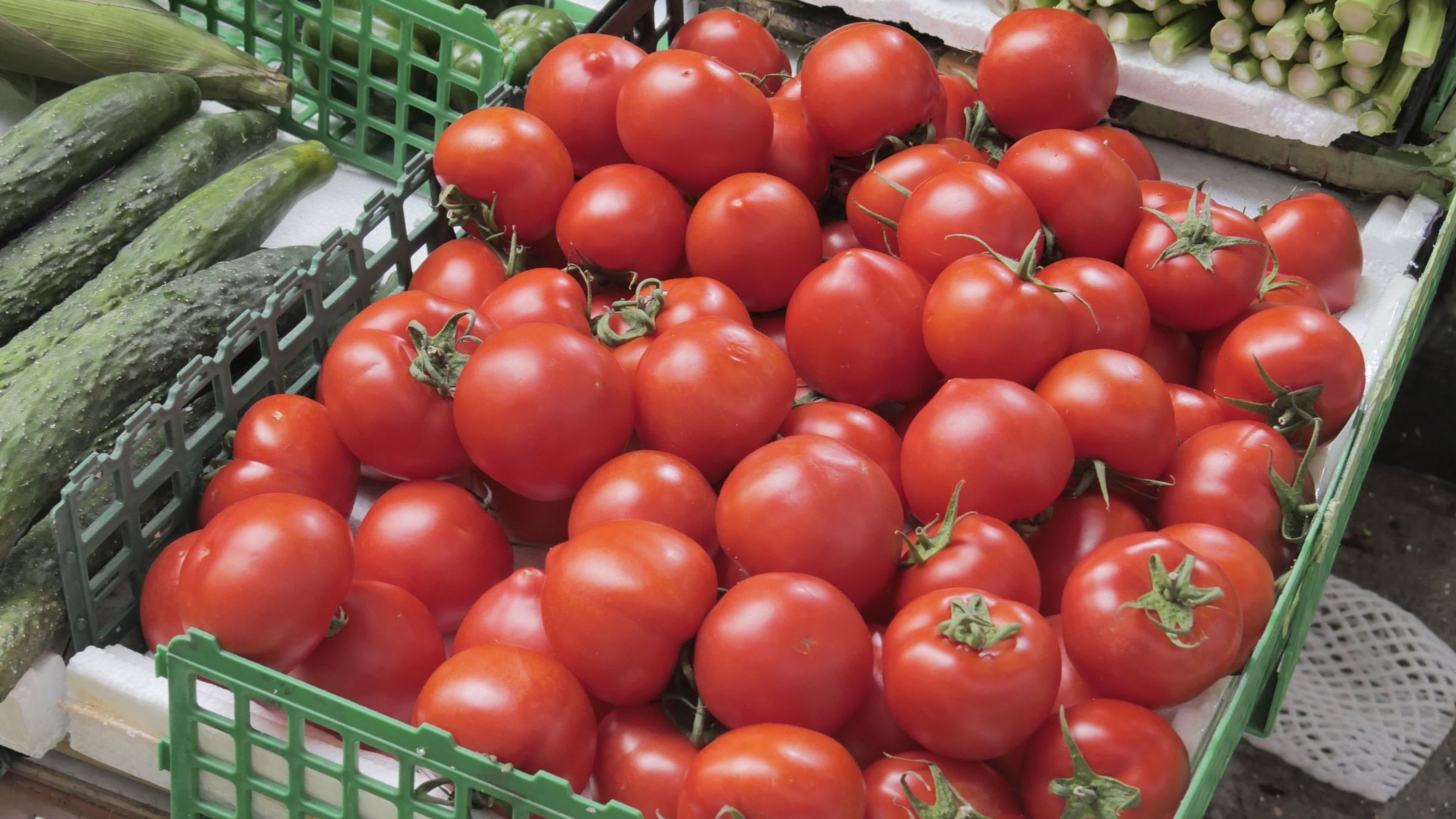 Tomates fraîches dans des caisses en plastique