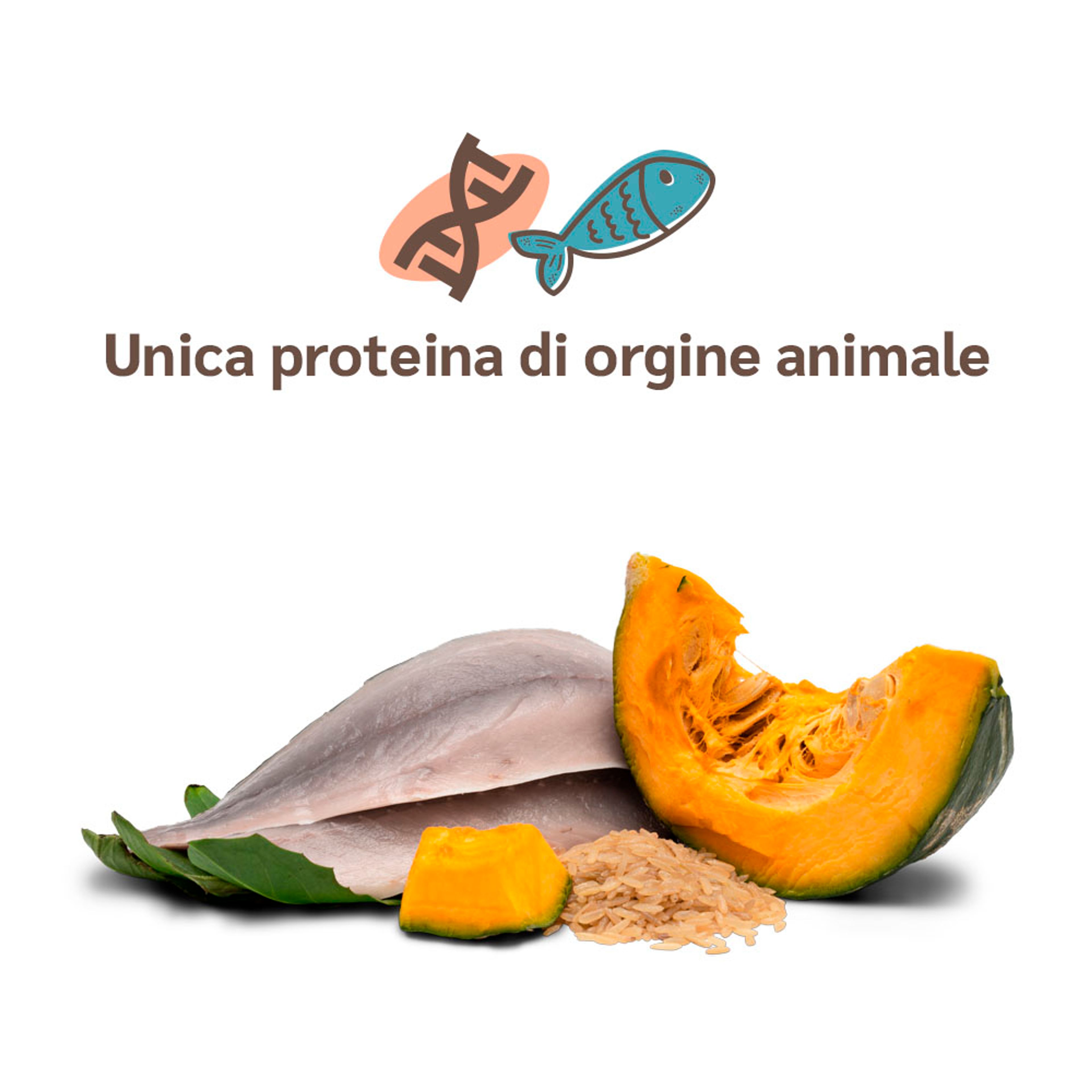 singola proteina di origine animale