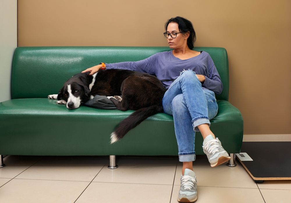 donna seduta in tale d’attesa dal veterinario con il suo cane