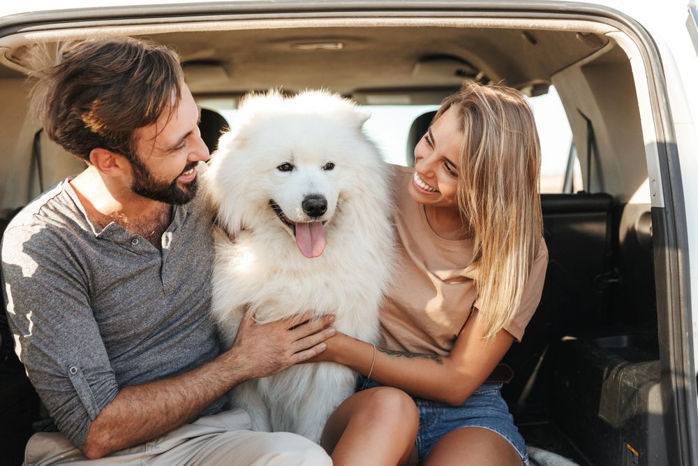 cane bianco seduto nel bagagliaio della macchina con i suoi padroni