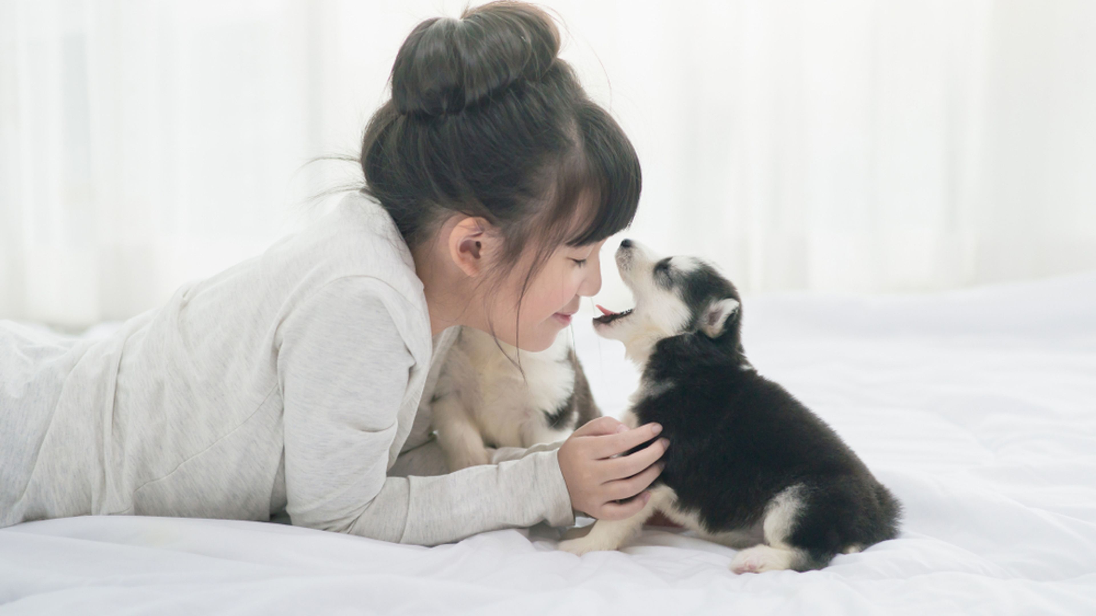 ragazza asiatica sdraiata sul letto con un cucciolo di cane con la bocca spalancata davanti al suo naso