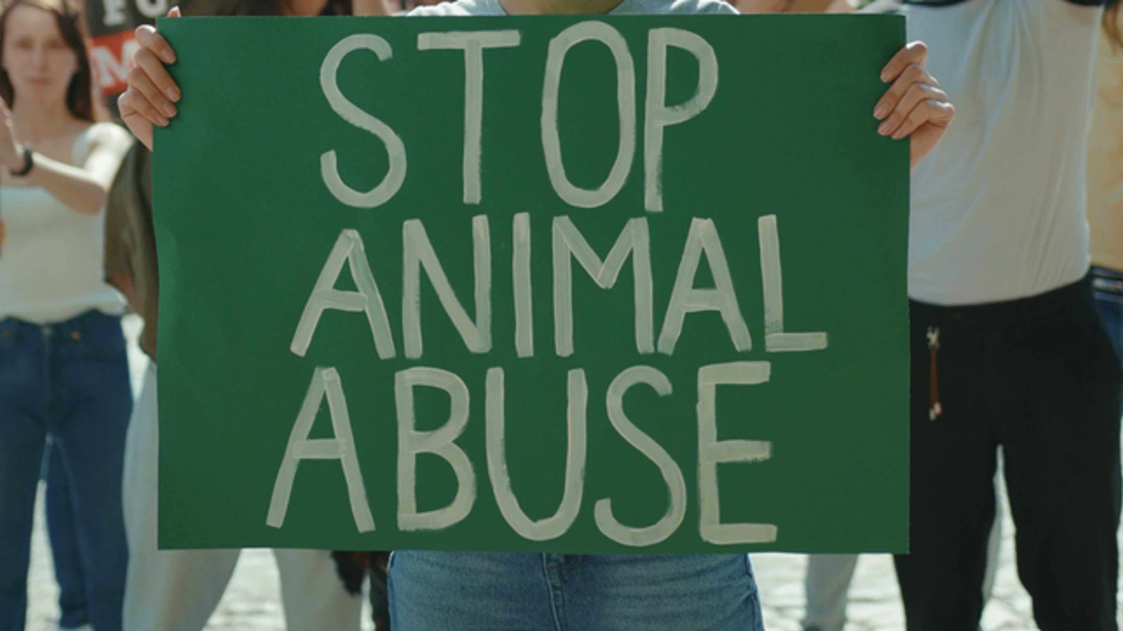 manifestante con cartello con scritto stop animal abuse