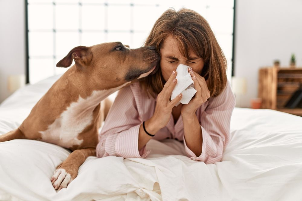 donna sdraiata sul letto si soffia il naso affianco al suo cane