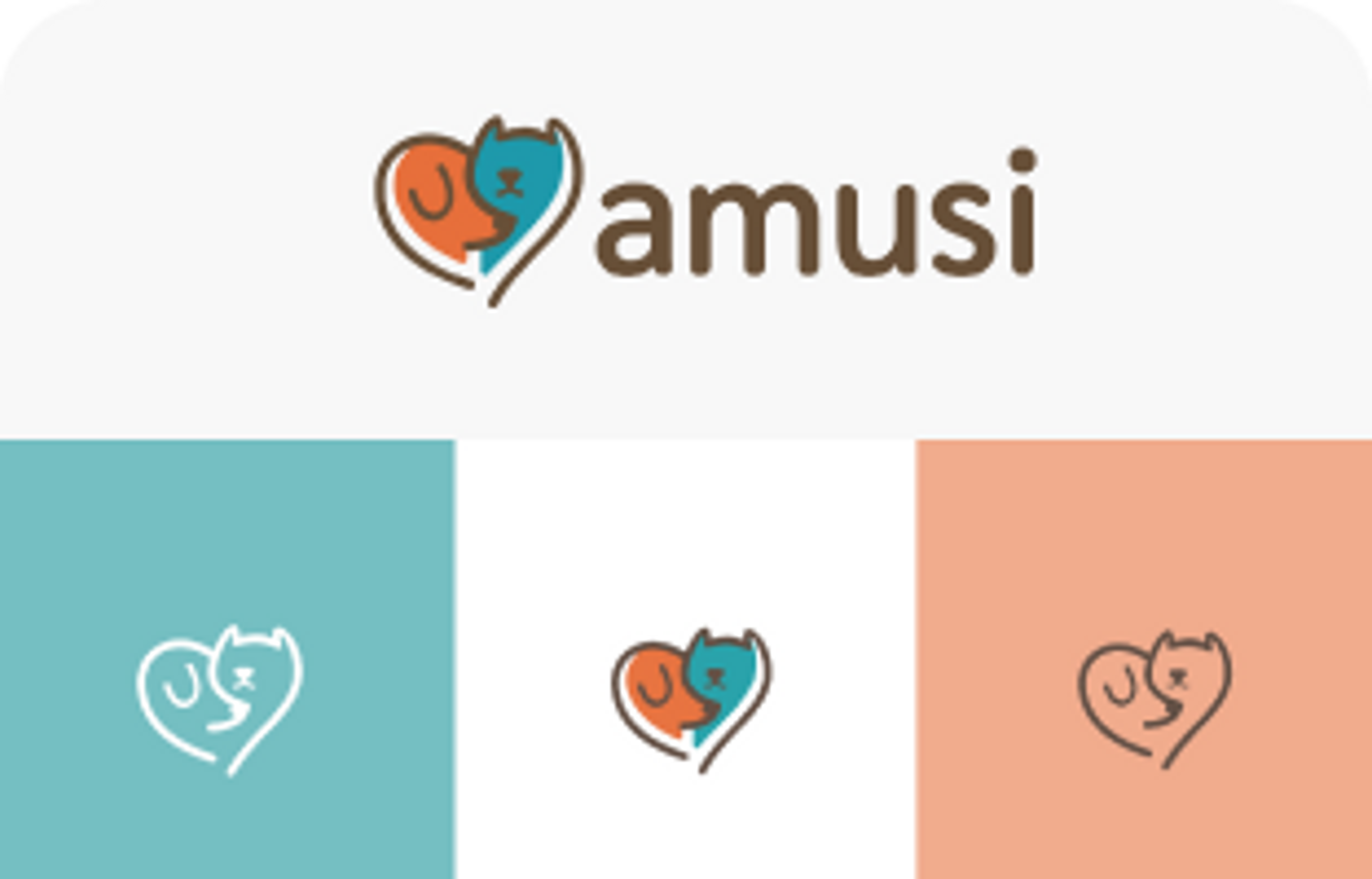 brand guide amusi