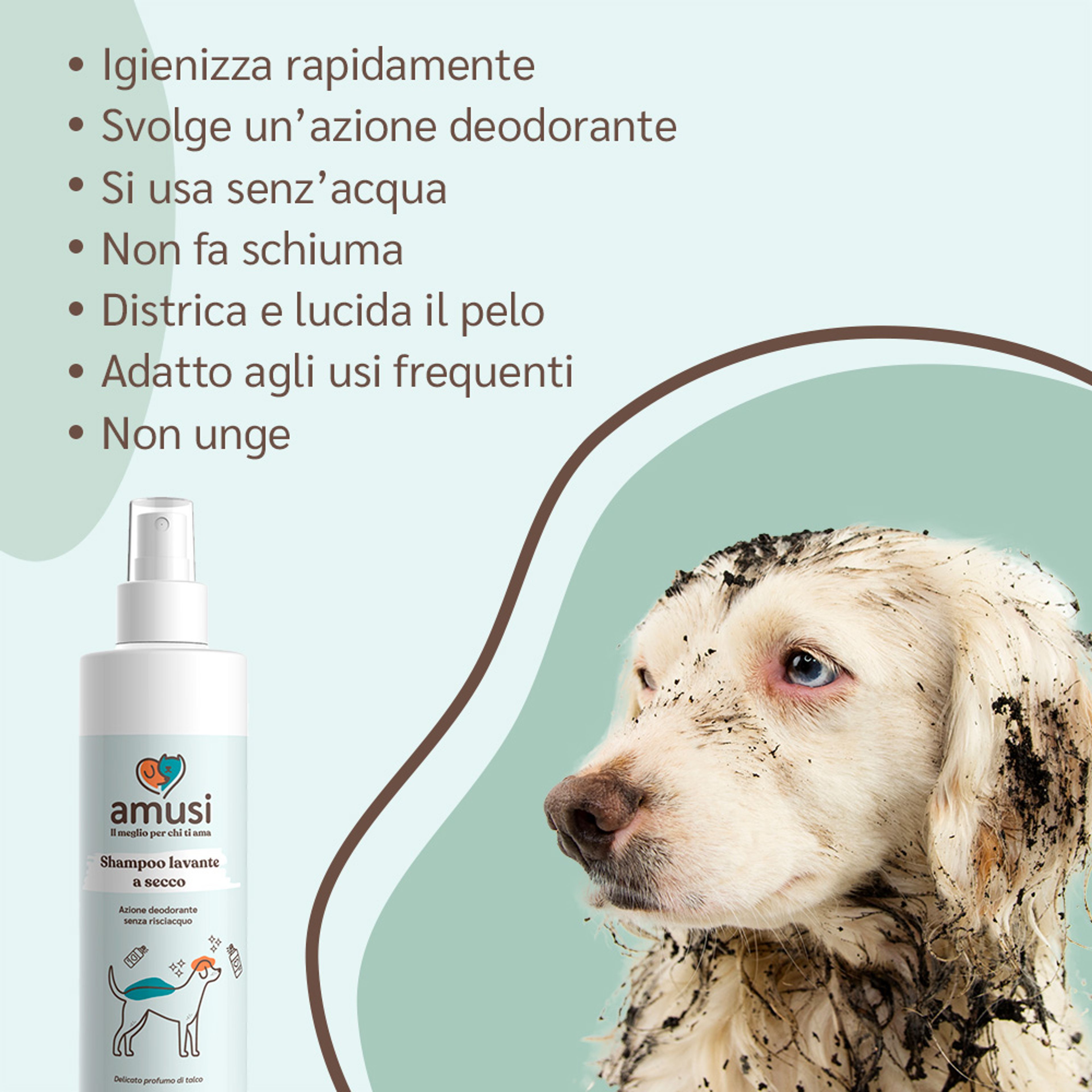 Shampoo a Secco per cani: Senz'Acqua | amusi