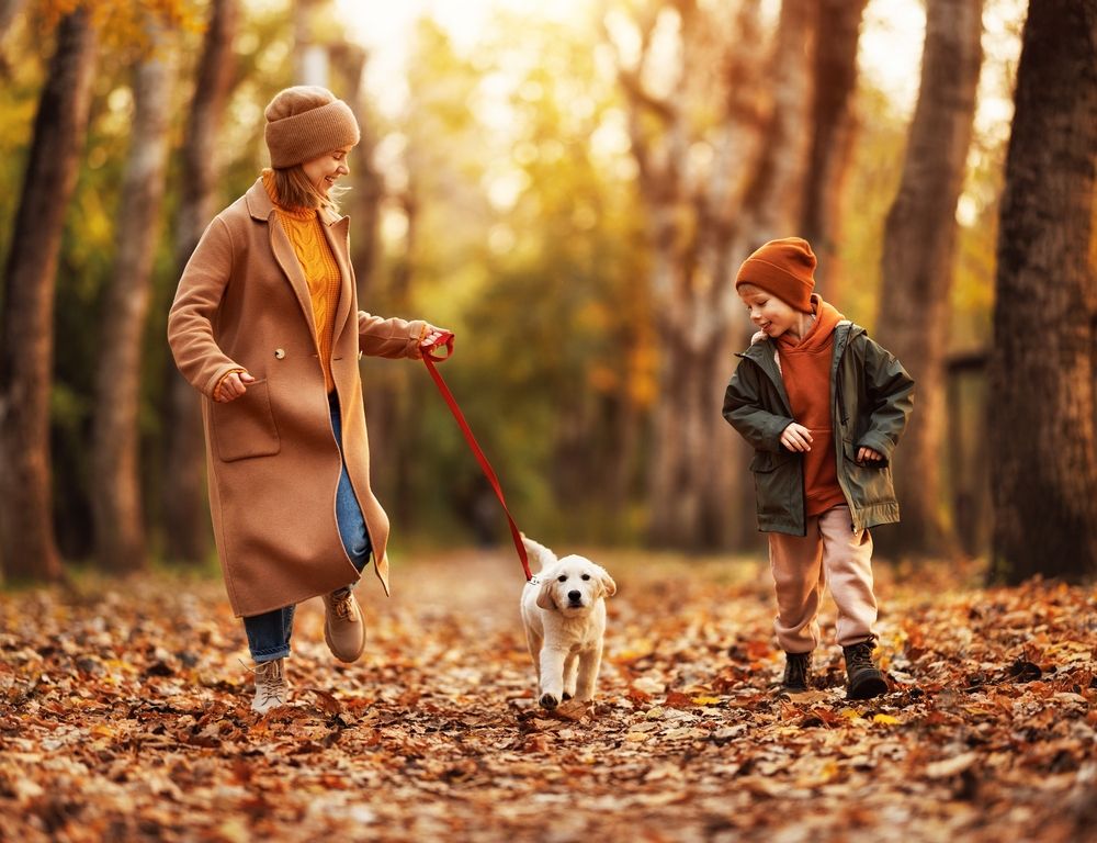 mamma e figlio passeggiano fra le foglie con un cucciolo di labrador