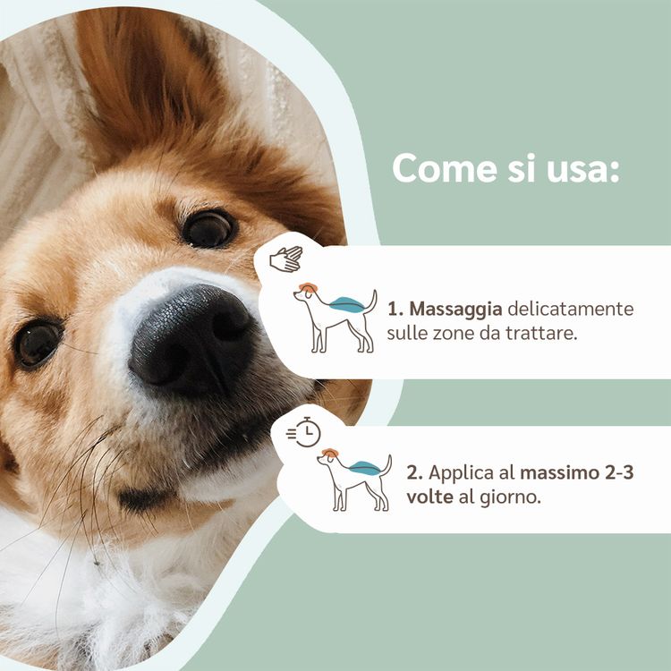 Balsamo Protettivo Per Zampe Di Cani E Gatti - Crema Idratante Naturale Per Naso E Pelle Secca - Foto 11