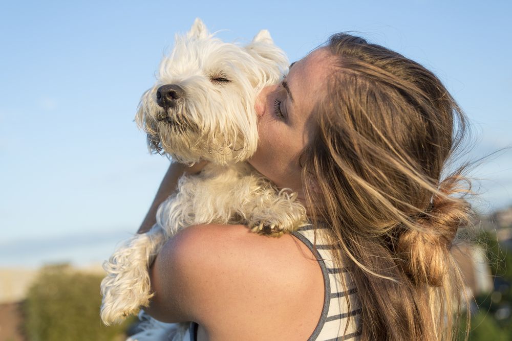 ragazza bionda bacia il suo west highland white terrier