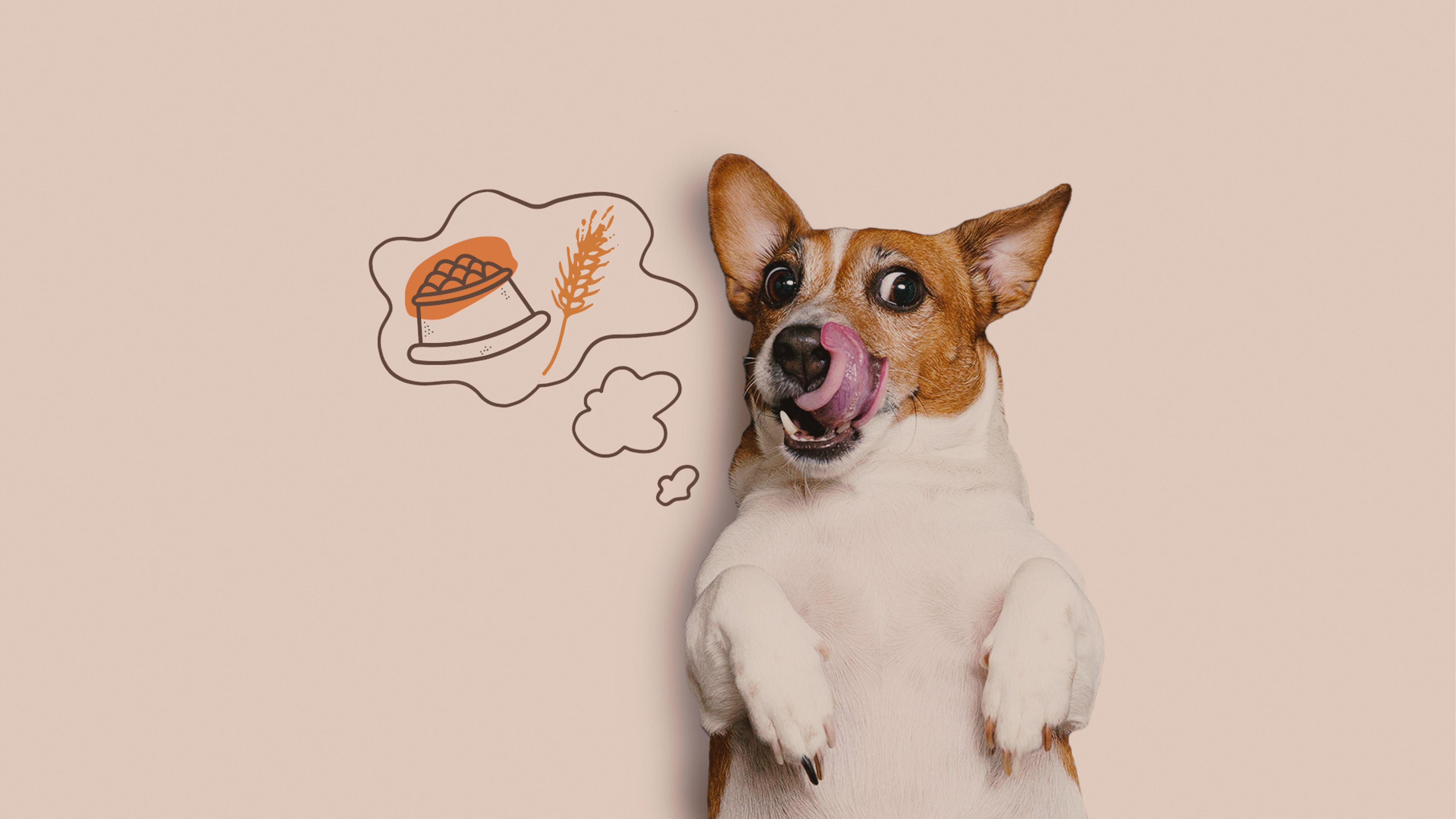 cane che si lecca i baffi pensando ai croccantini con cereali nobili