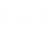 palm tree icon